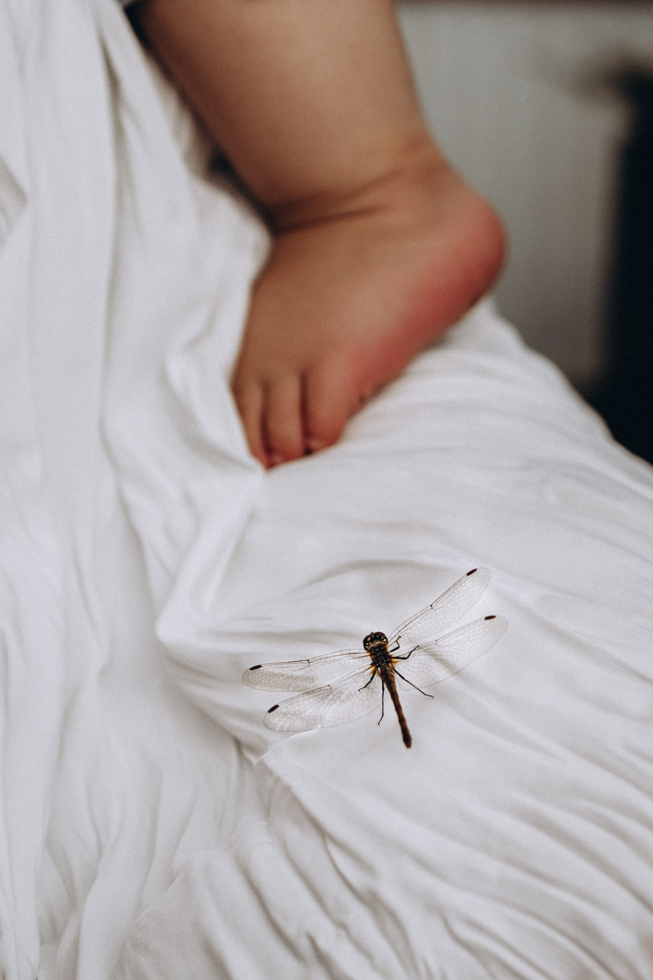 Дачные радости: от урожая до пузырей. Семейный фотограф в Москве, Щелково, Фрязино _ Виктория Степанова