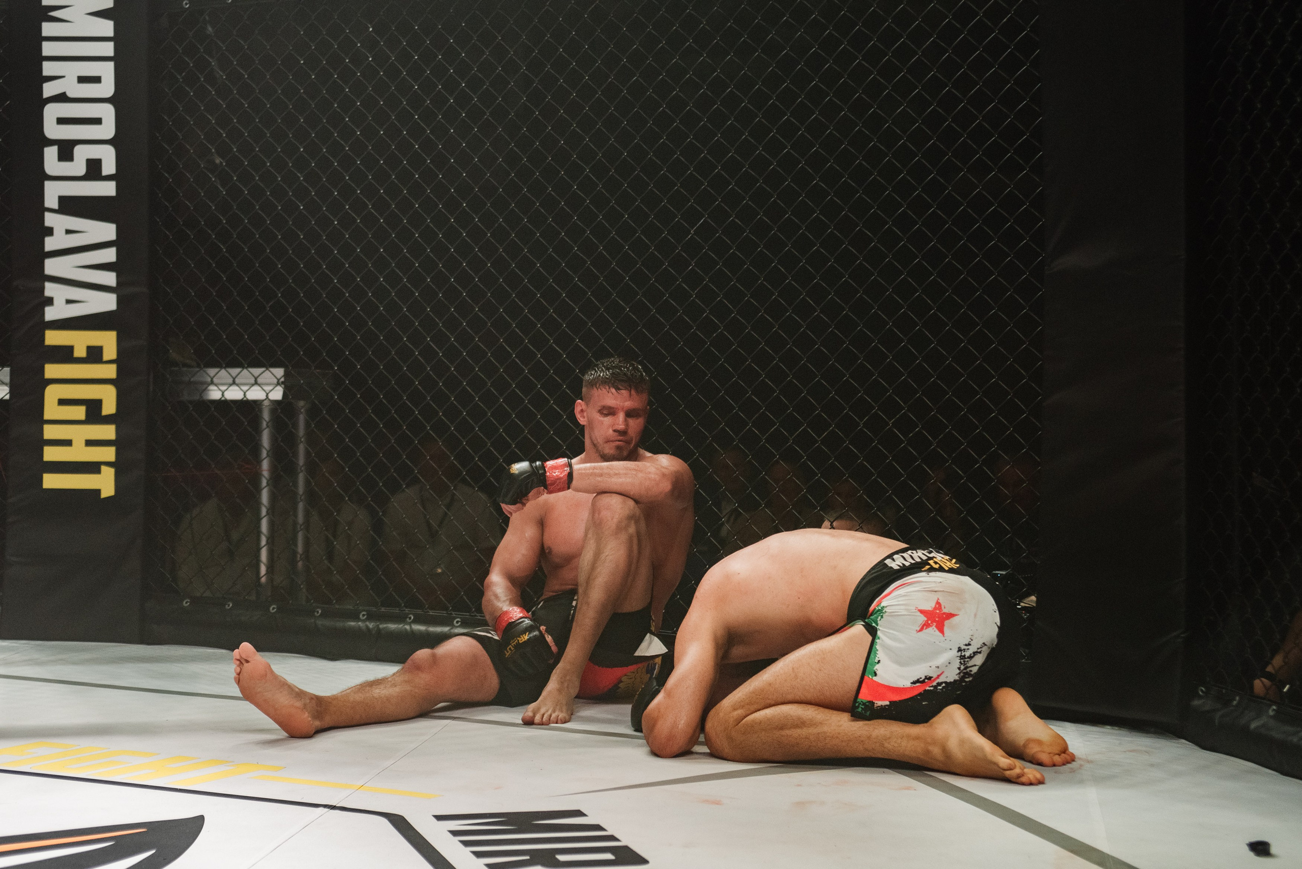 Miroslava Fight