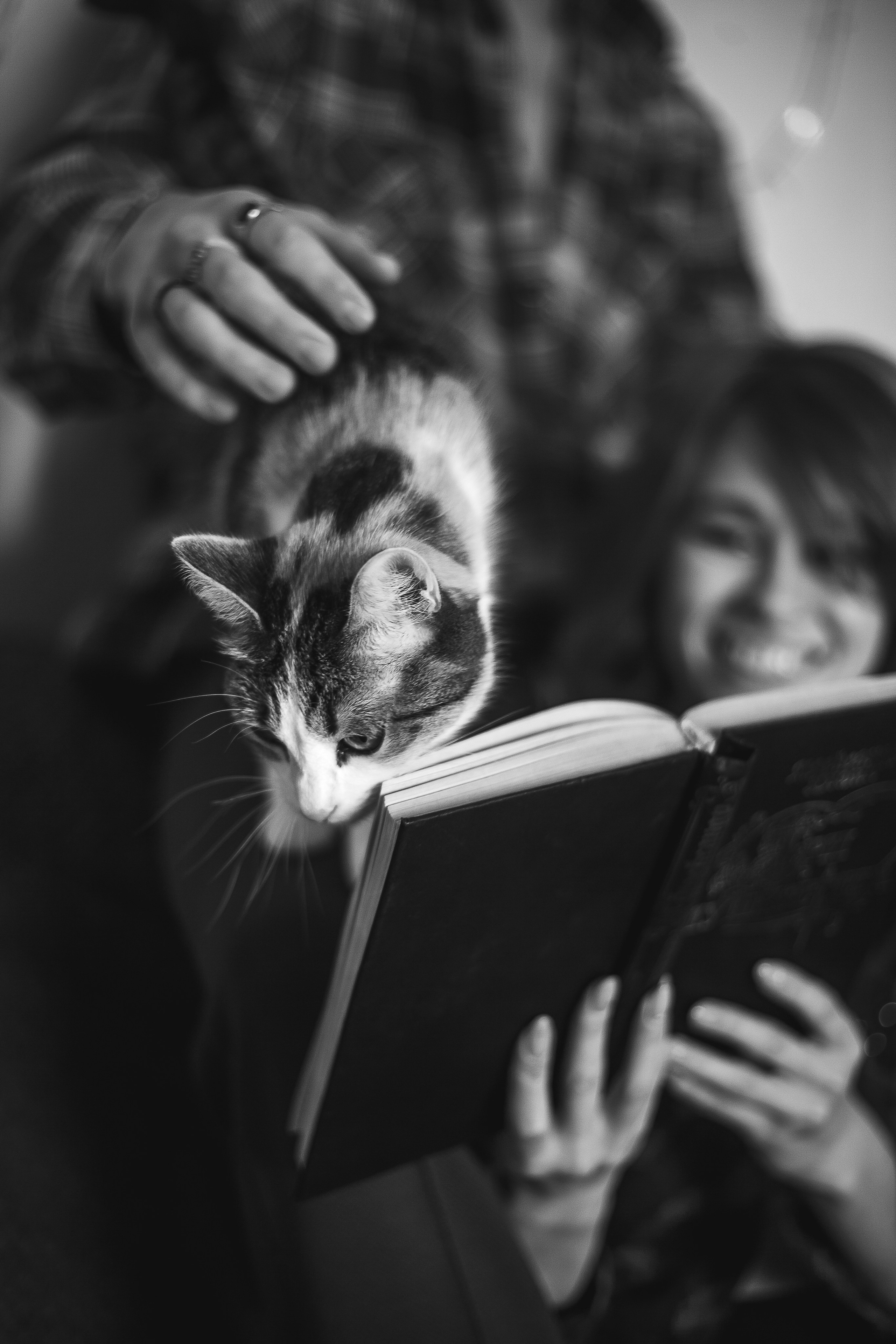 Жан и Катя. Свадебный и портретный фотограф в Красноярске Алина Семенихина