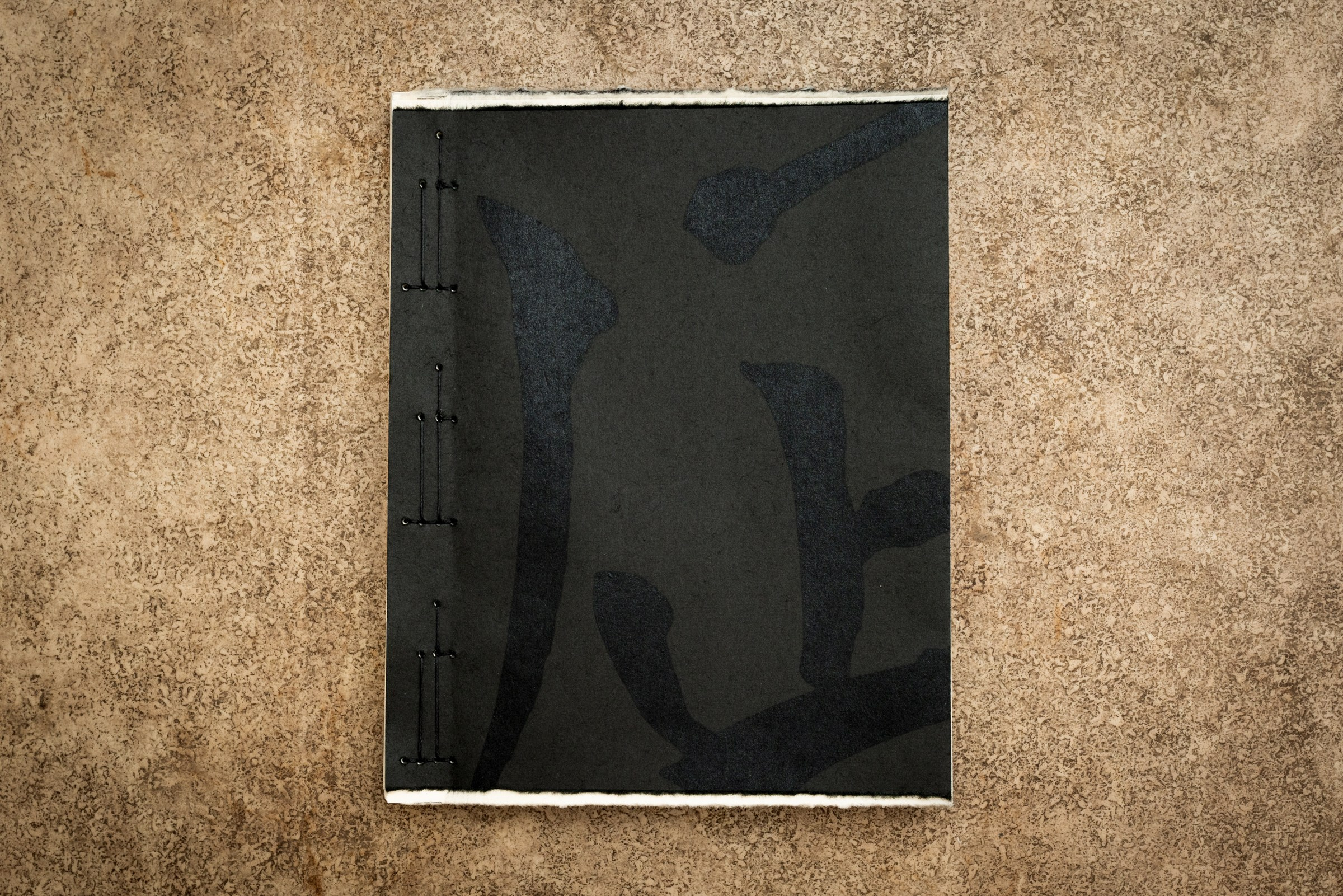 ИНТЕРВЬЮ С АВТОРАМИ: Ёсикацу Фудзии. Самоорганизация Низина