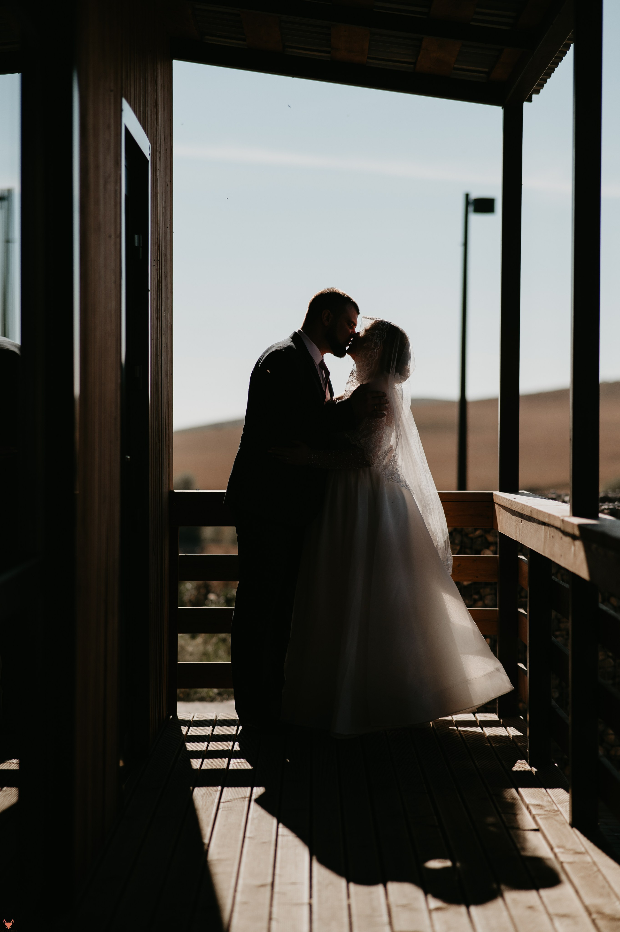 Wedding 20 09 24. Свадебный Фотограф Абакан