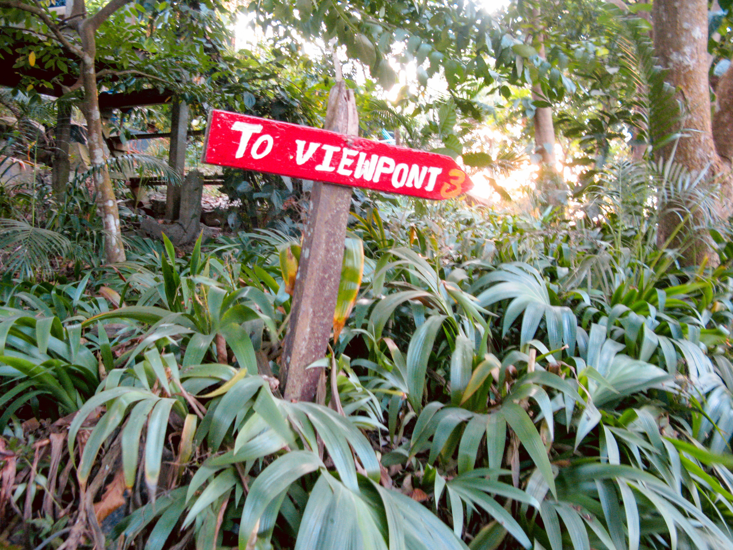 Thai. Фотограф Миланазавр