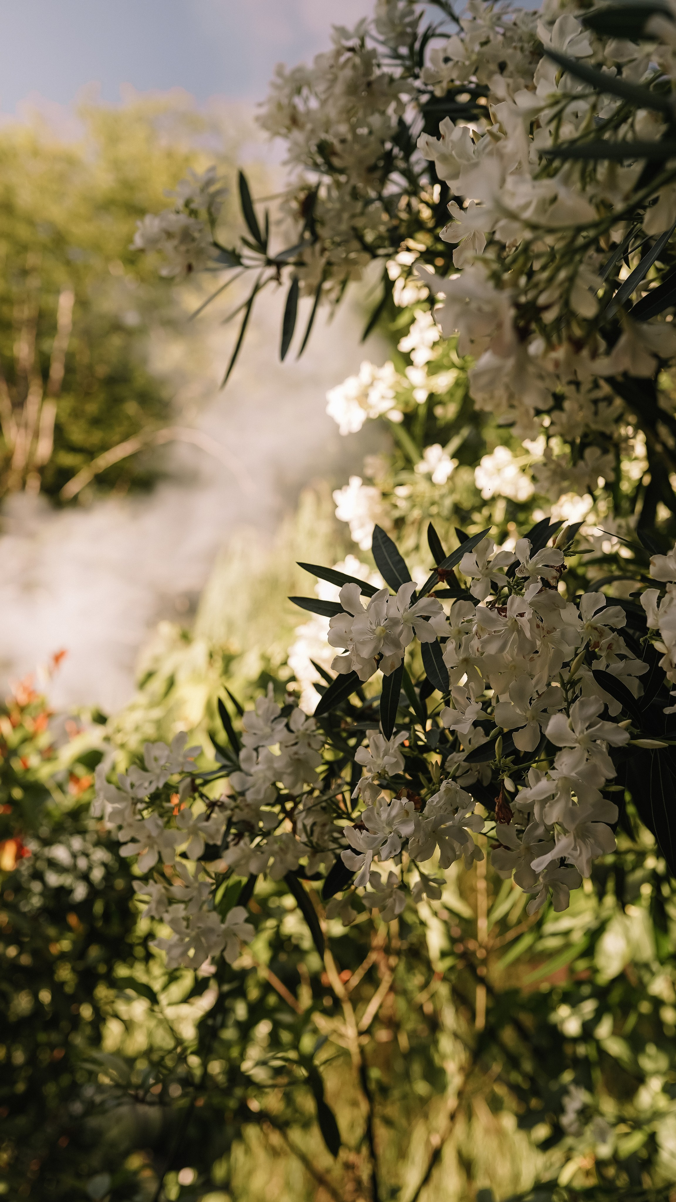 Мамай-Кале — Ресторан в лесу. Милана Довгаль - семейный фотограф и видеограф  в Адлере и Сочи