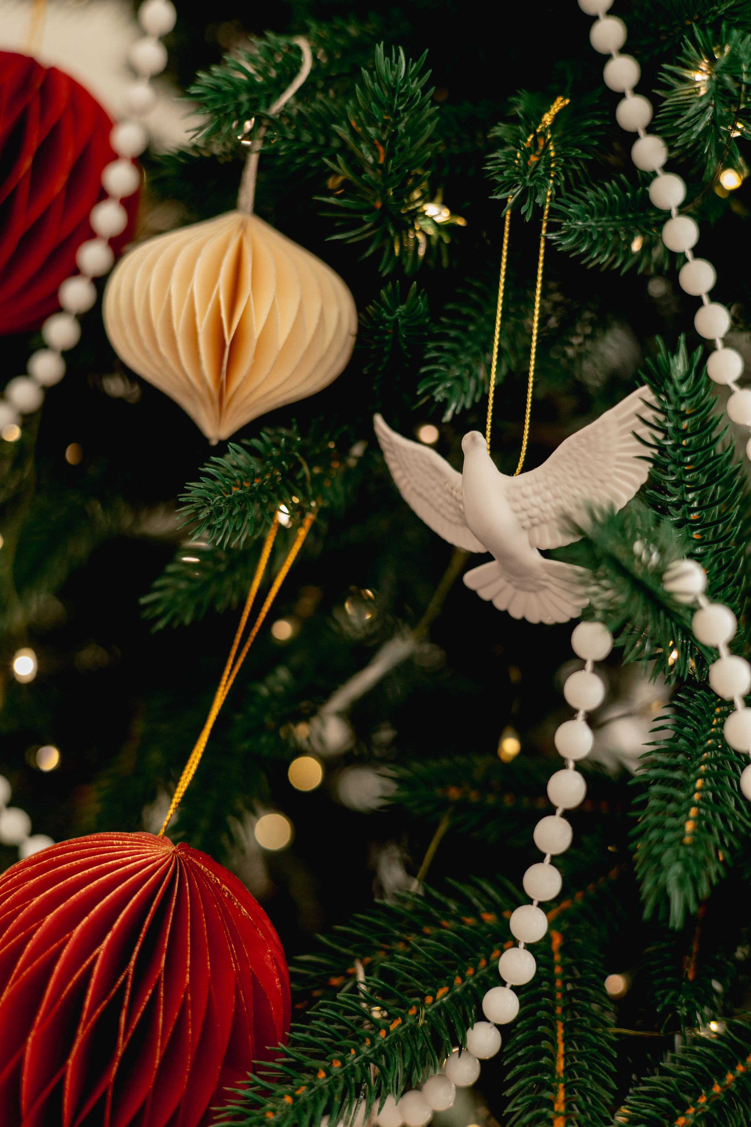 Новогодняя съёмка. Свадебный и семейный фотограф Екатеринбург