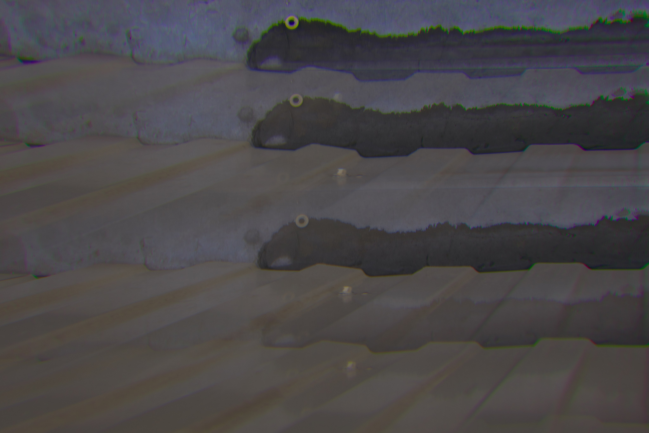 Призма 💎. Миша Печёнкин | фотография