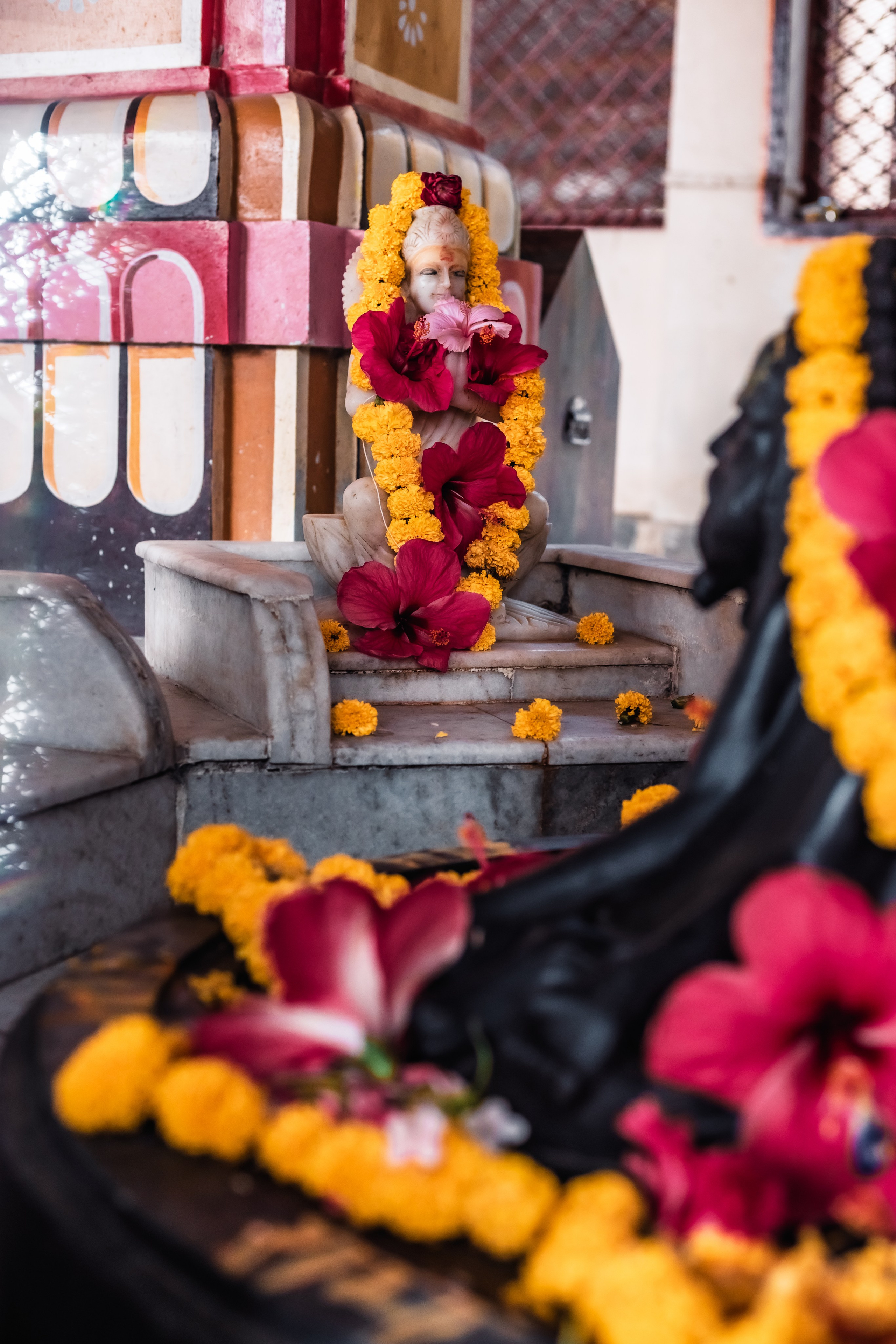 Devraha baba ji ashram life 2025. Mariam Bagdasaryan