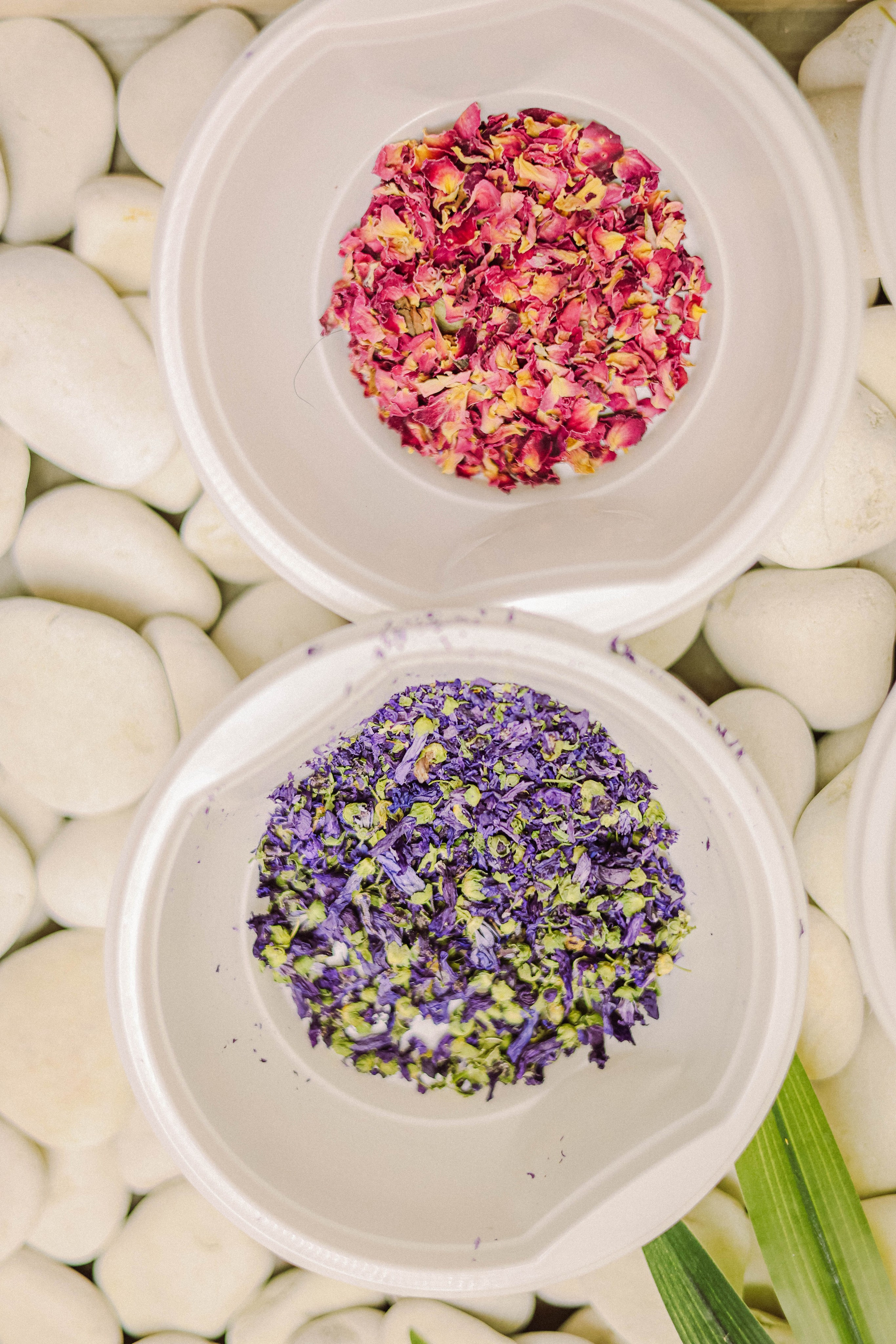 Мастер класс. Фотограф в Москве Анастасия Калинина