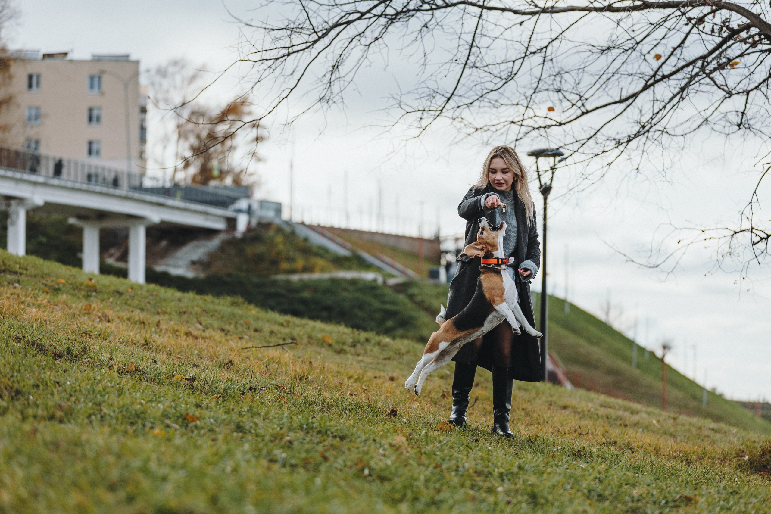 Аня и Моня. Фотограф — анималист Светлана Кысса|фотограф собак в Краснодаре и Нижнем Новгороде