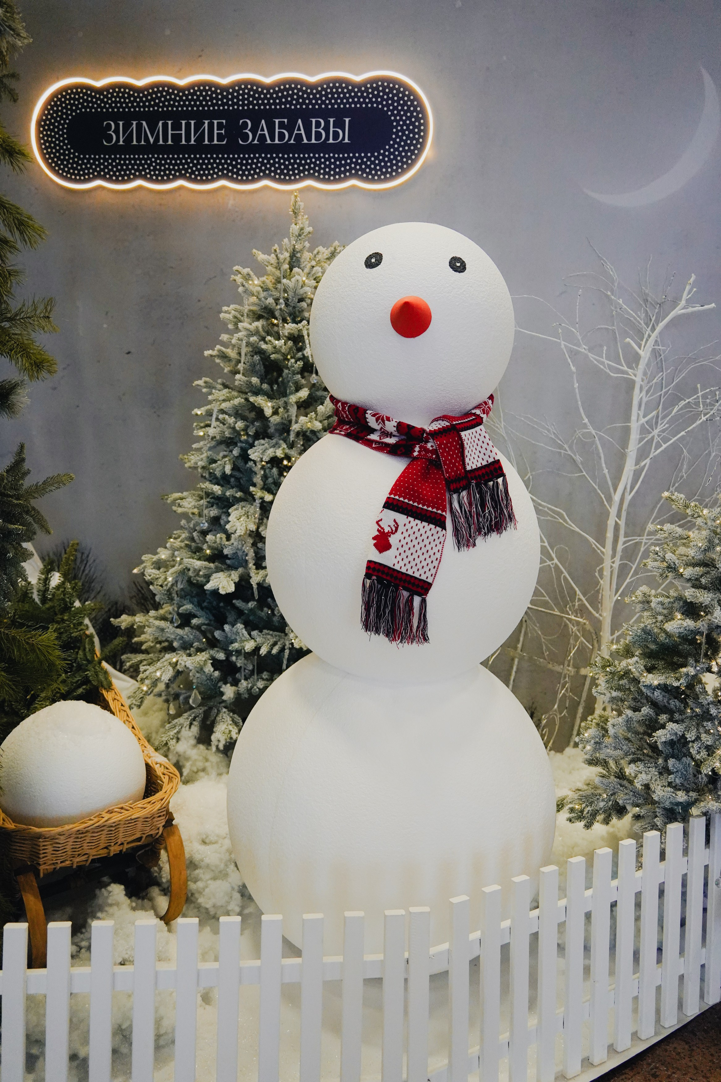 «Зимняя фантазия» на Ивановском железнодорожном вокзале. Спортивный и репортажный фотограф в Иваново Сергей Силкин