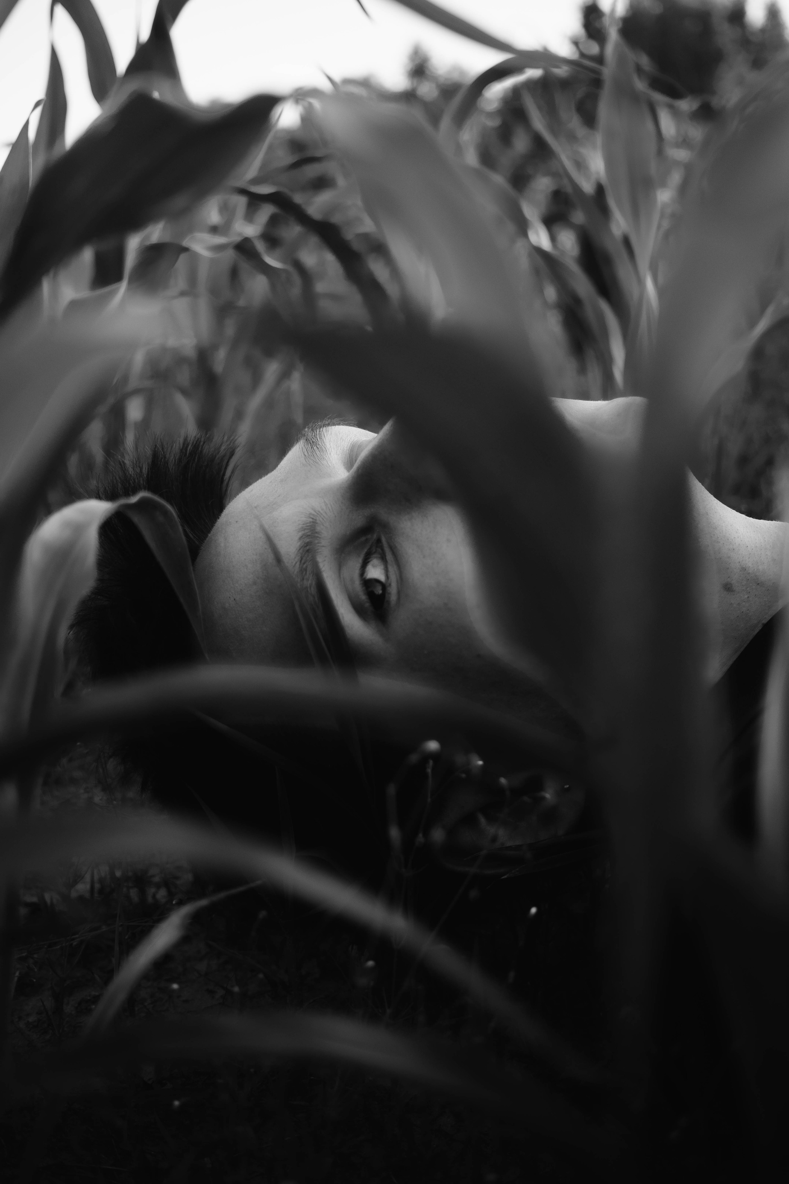 Save my flowers forever. Фотограф и Стилист в Санкт-Петербурге Алеся Хомиченок и Игорь Гарин