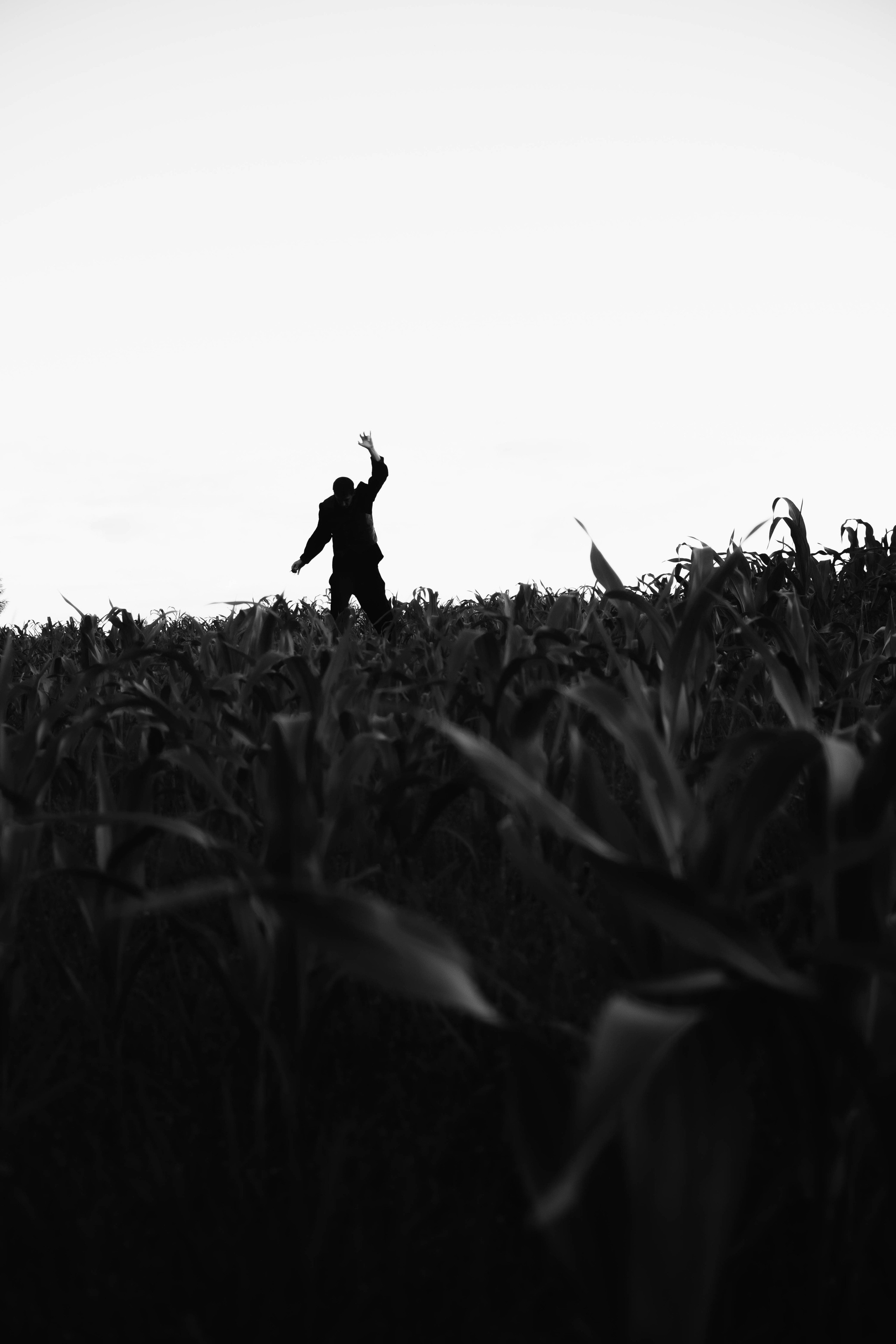 Save my flowers forever. Фотограф и Стилист в Санкт-Петербурге Алеся Хомиченок и Игорь Гарин