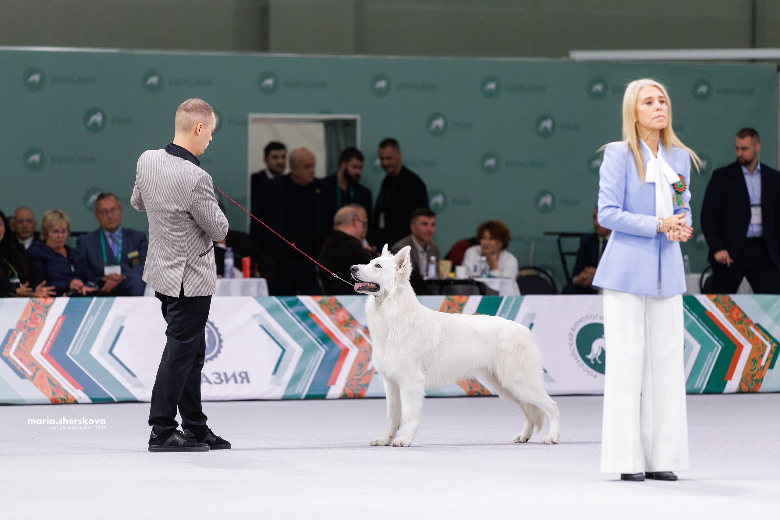 Выставки. Фотограф-анималист в Калуге Мария Шерскова
