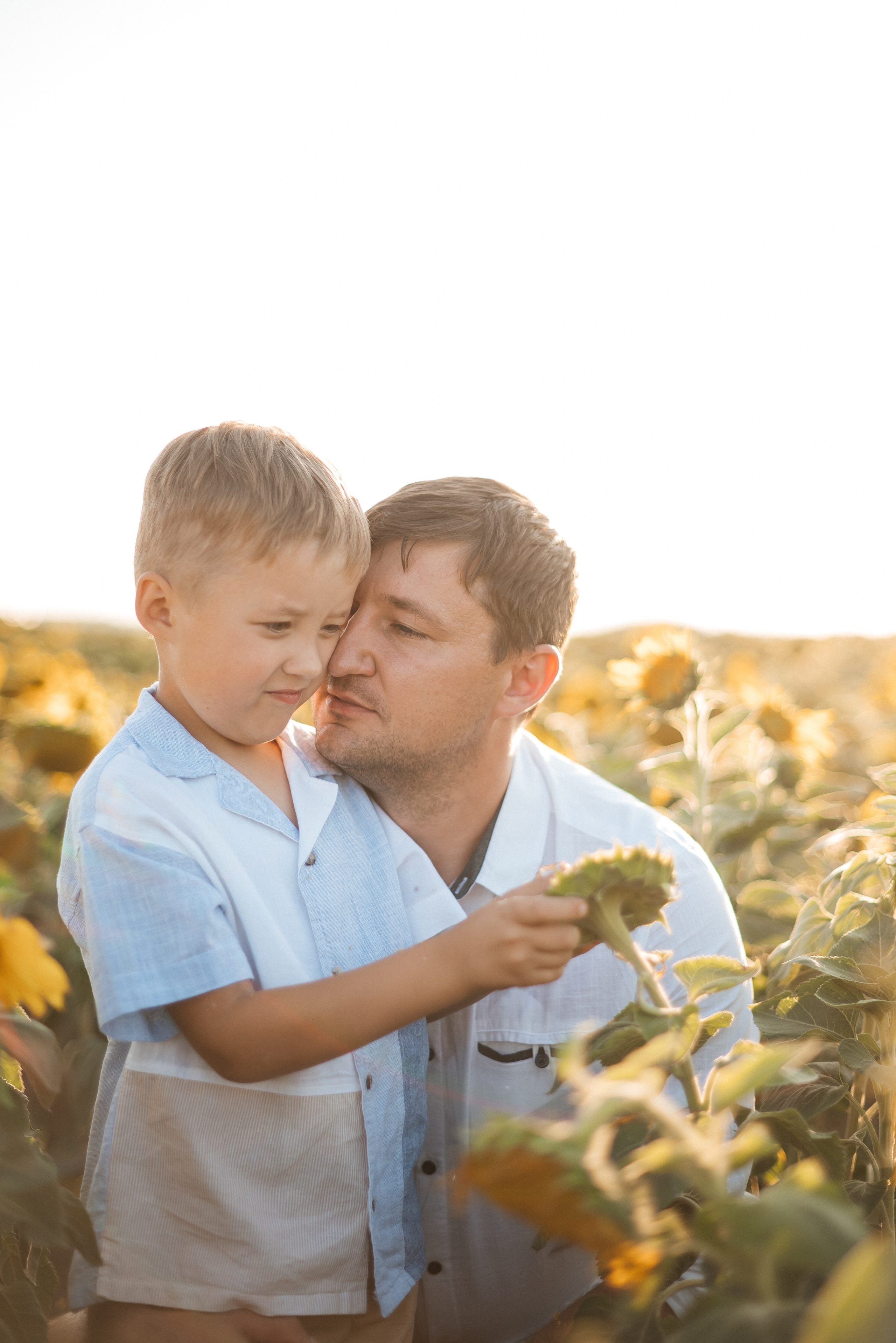 Подсолнечно. Свадебный фотограф