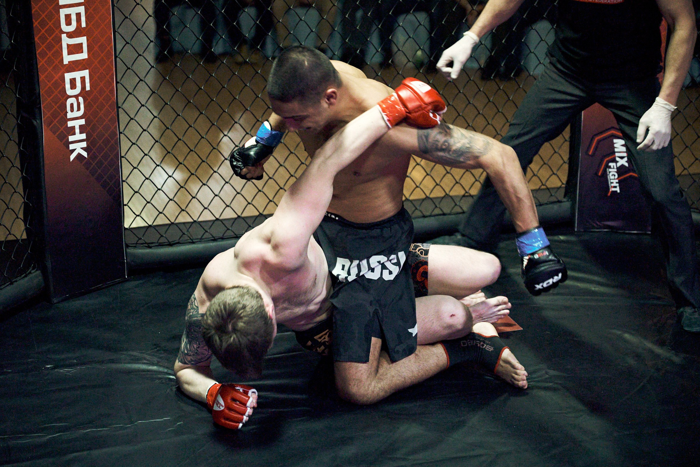 Бои. Маляревич Дмитрий свадебный фотограф