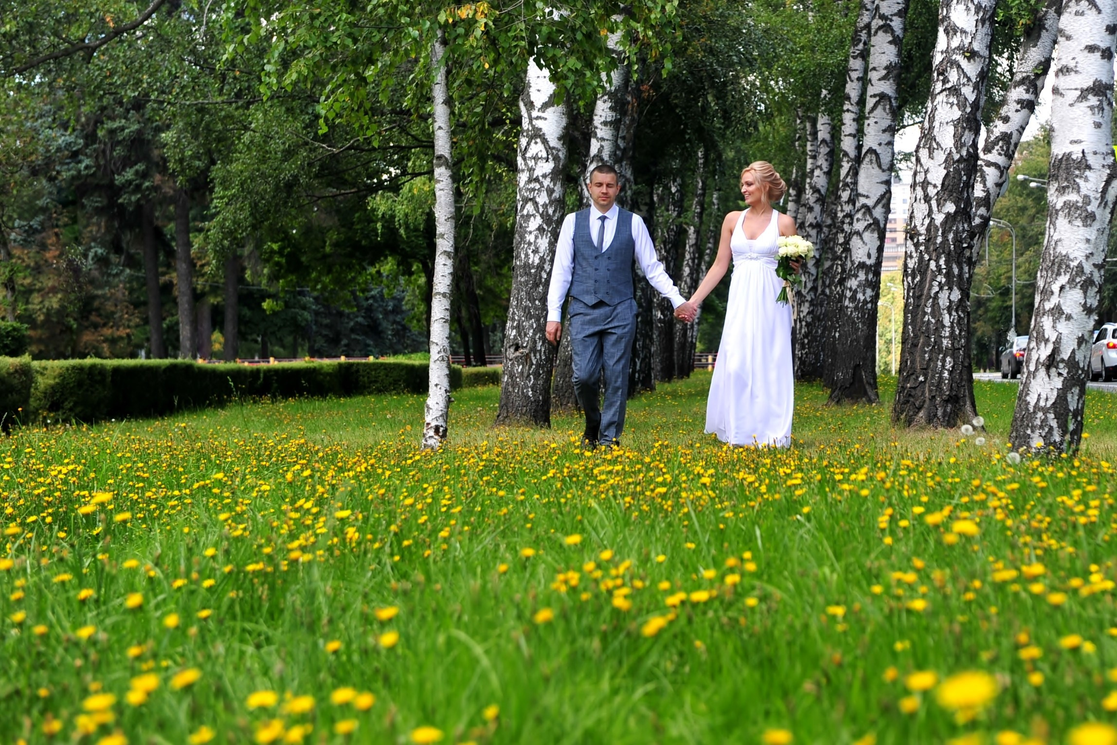 Свадьба на Воробьёвых Горах рядом с МГУ, новобрачные идут и держатся за руки среди берёз, зеленая лужайка с желтыми одуванчиками под ногами у молодоженов