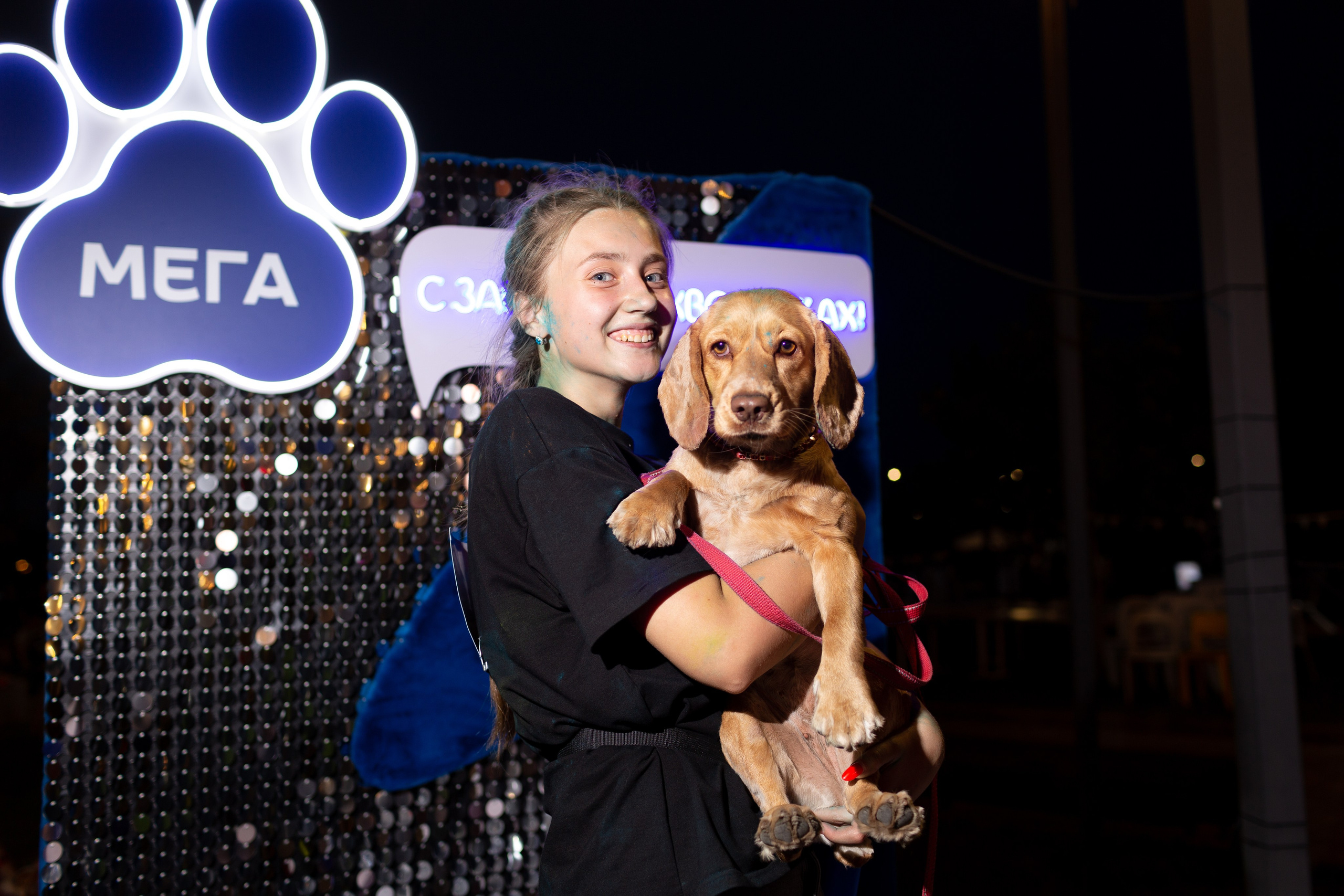 Dog Fest 2024. Главная