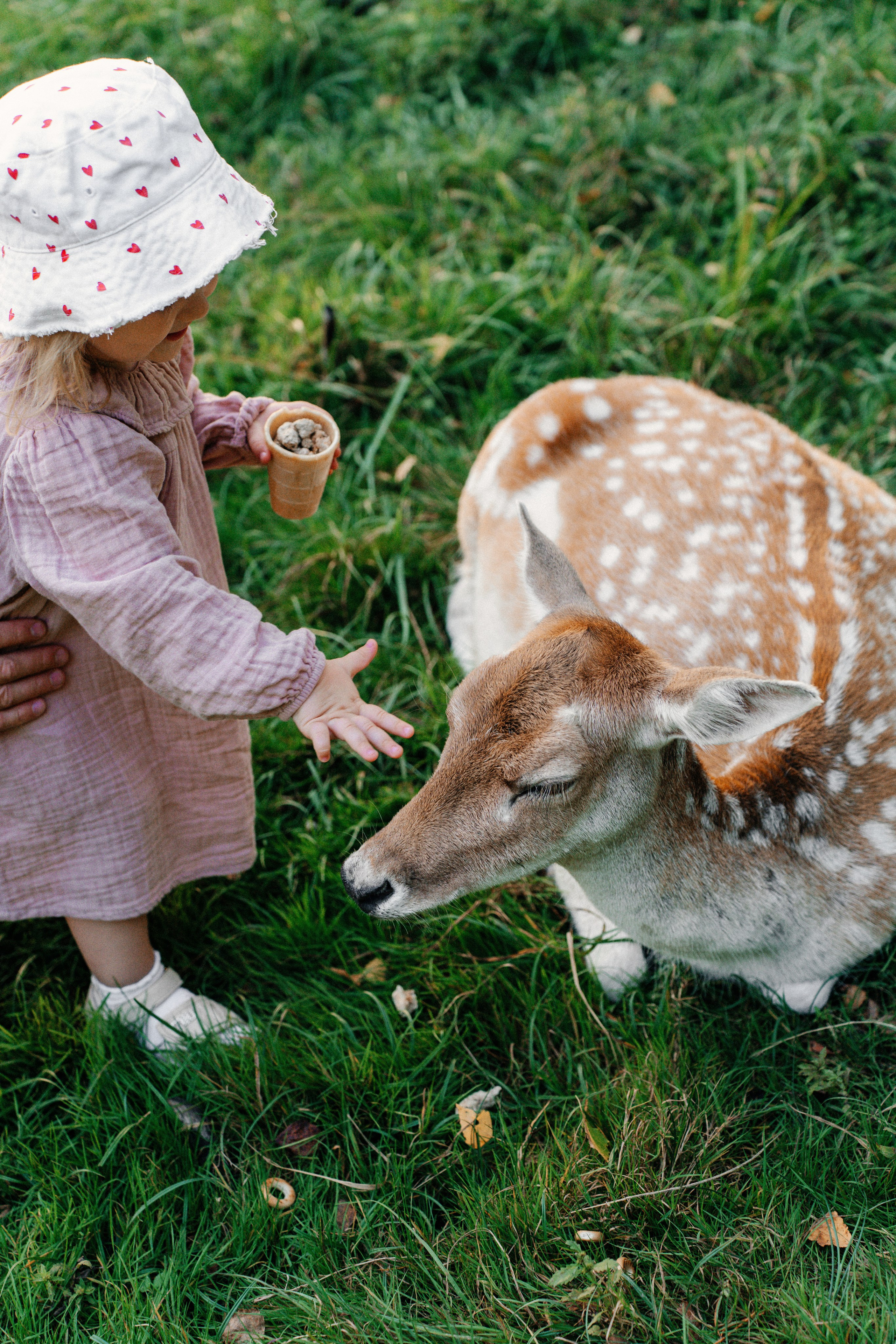 Диприз — в мире диких животных. Ваш семейный фотограф в Минске — Вика Трегубова