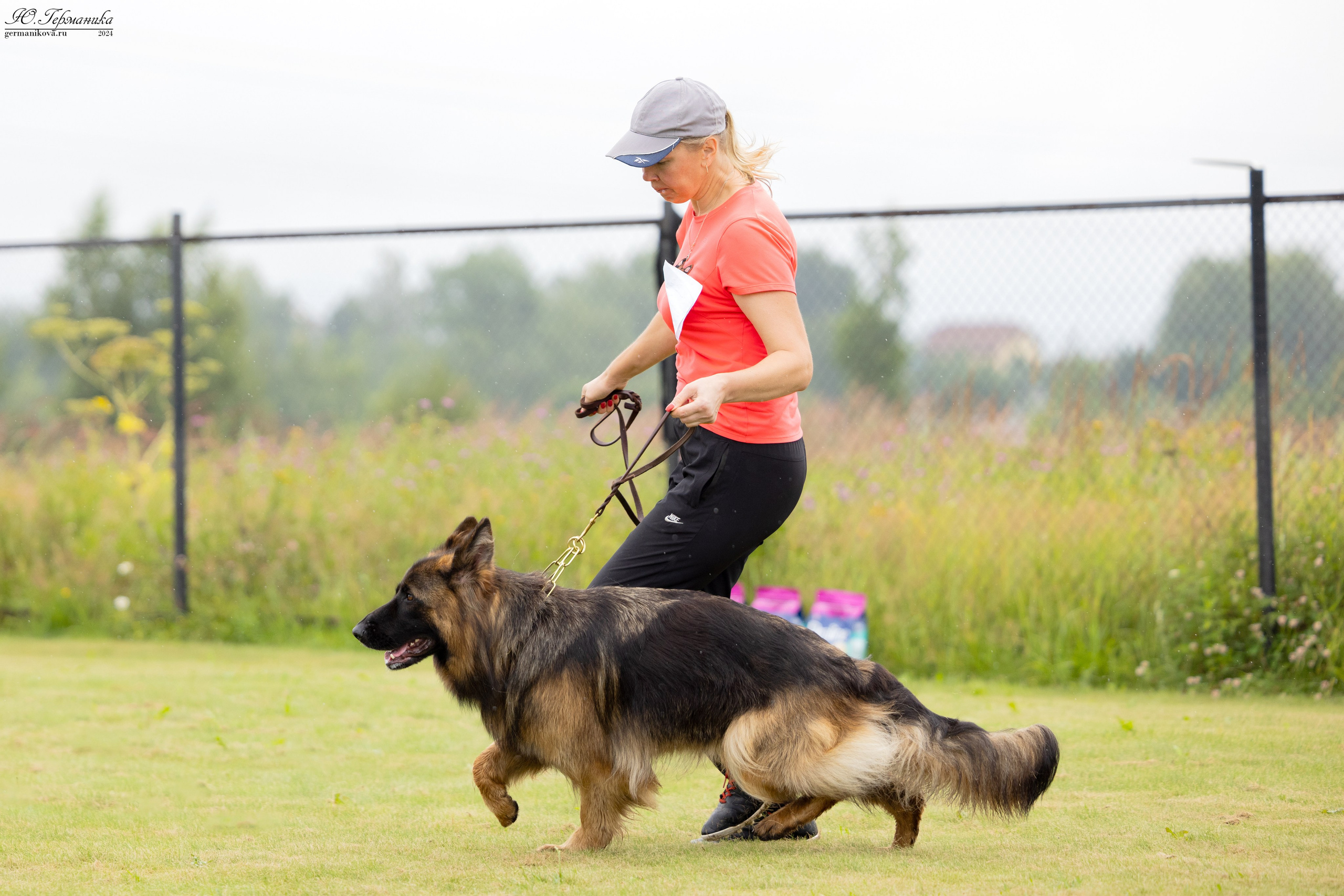 Ярославль 21.07.24 и Балашиха 13.07.24. Фотограф-анималист Юлия Германика