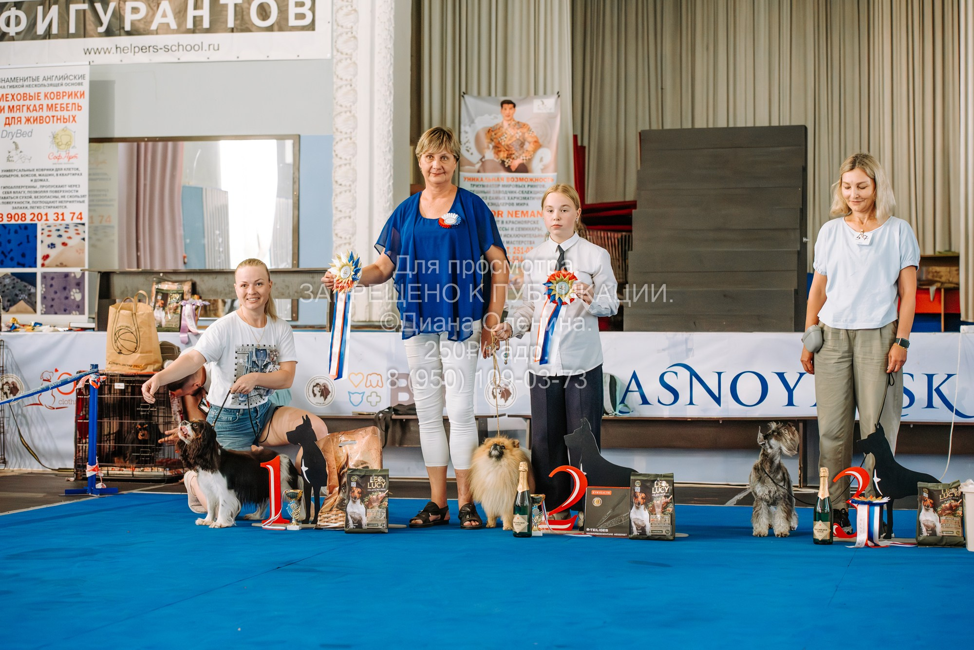 Национальная выставка собак всех пород ранга САС-IKU «Кубок Красноярск. Фотограф Диана Оленина Красноярск / Братск