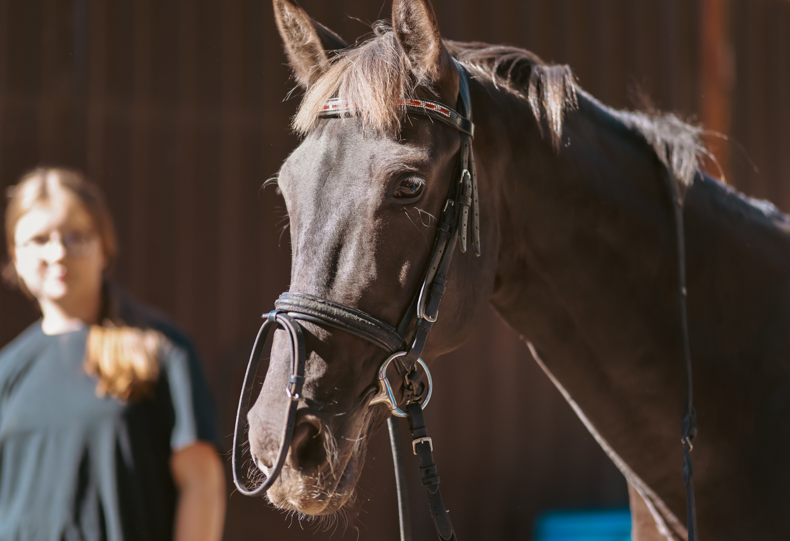 Корпоратив на конюшне. Фотограф репортажей и стритфотосессий в Москве Людмила Смирнова