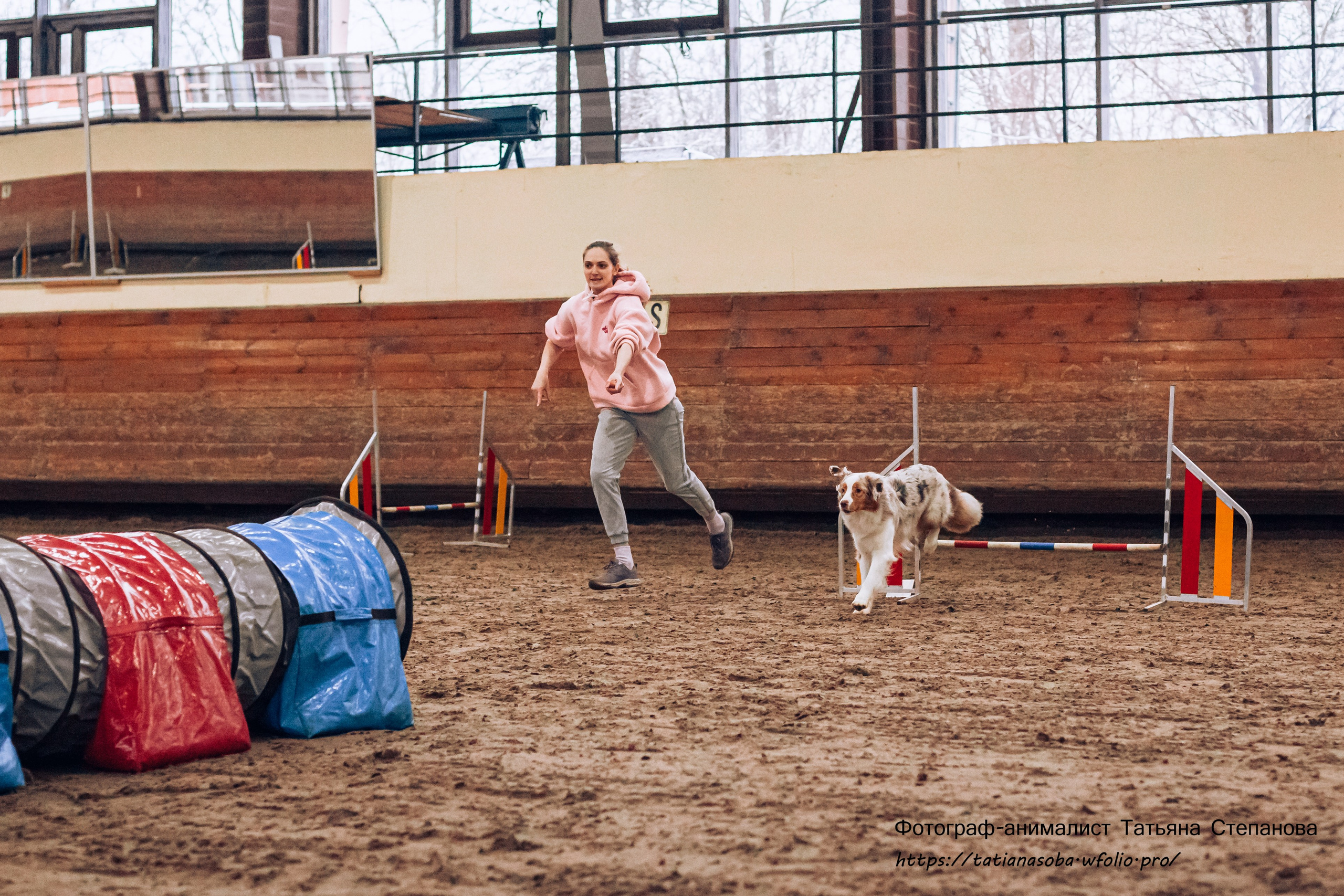 Соревнования по Аджилити 25.02.2024. Фотограф-анималист Татьяна Степанова
