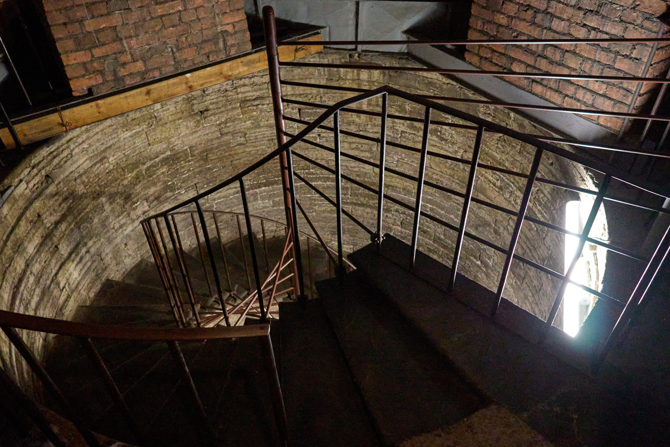 Рождество въ Санктъ-Петербургѣ. Фотографъ Сергѣевъ. Поймать мгновеніе