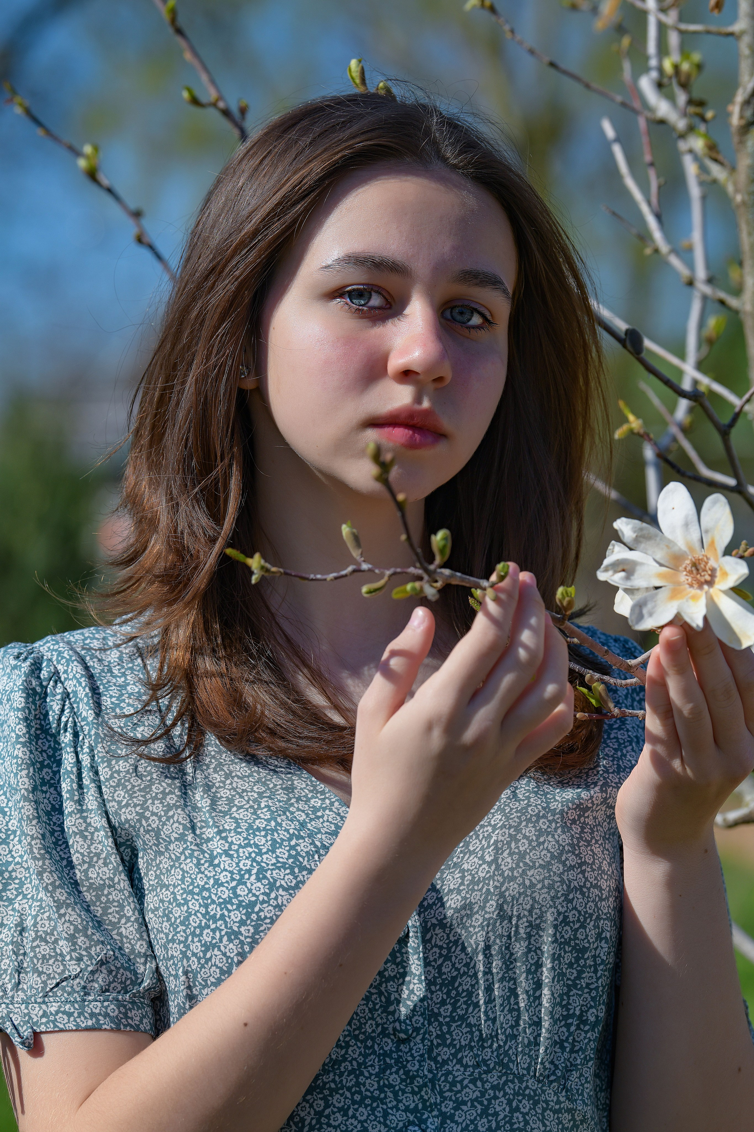 Смешанное цветение и зелень. Главная