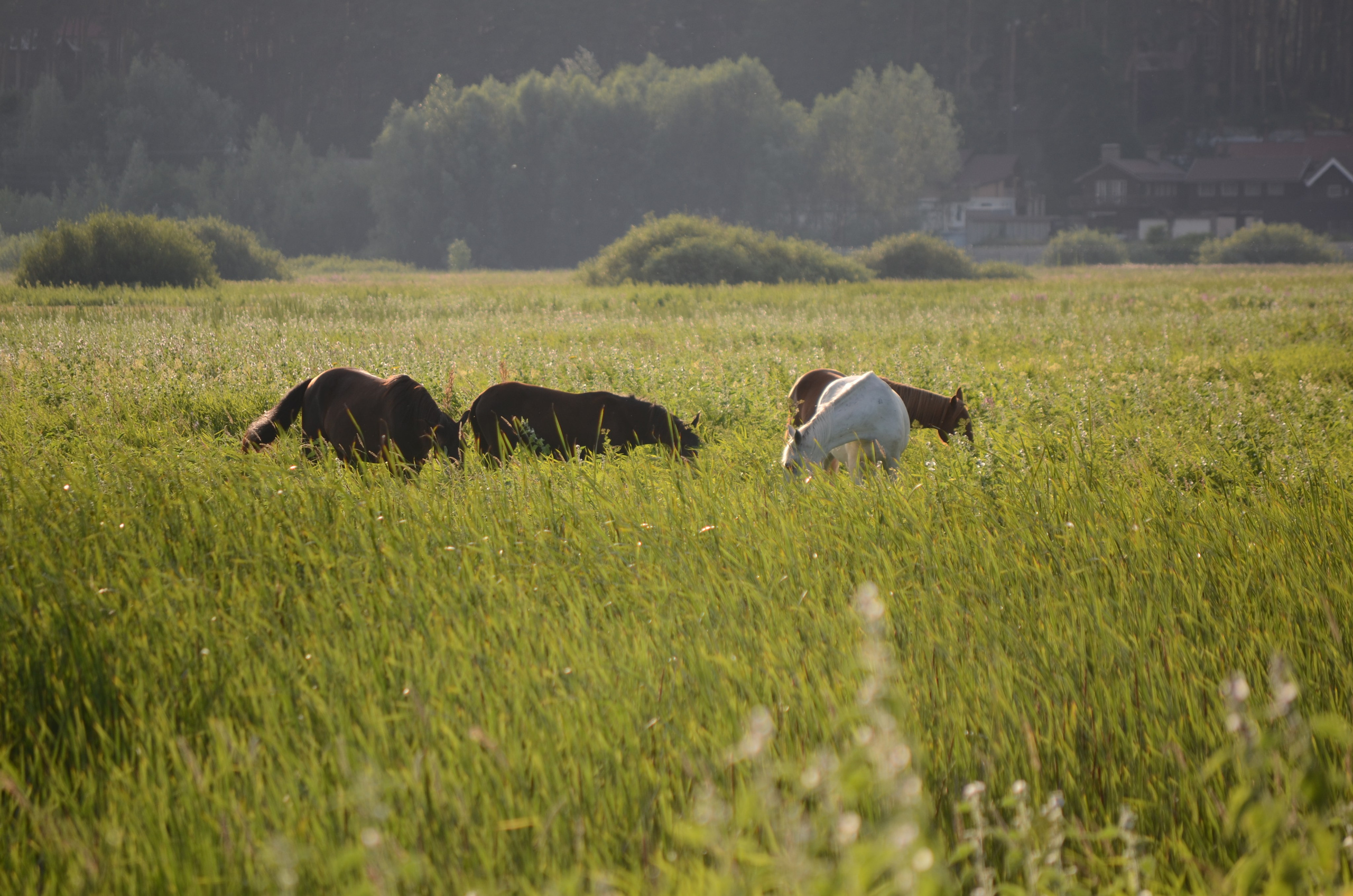 Фотосъёмка праздничных мероприятий, портретная съёмка в Самаре, Пётр Бубняев