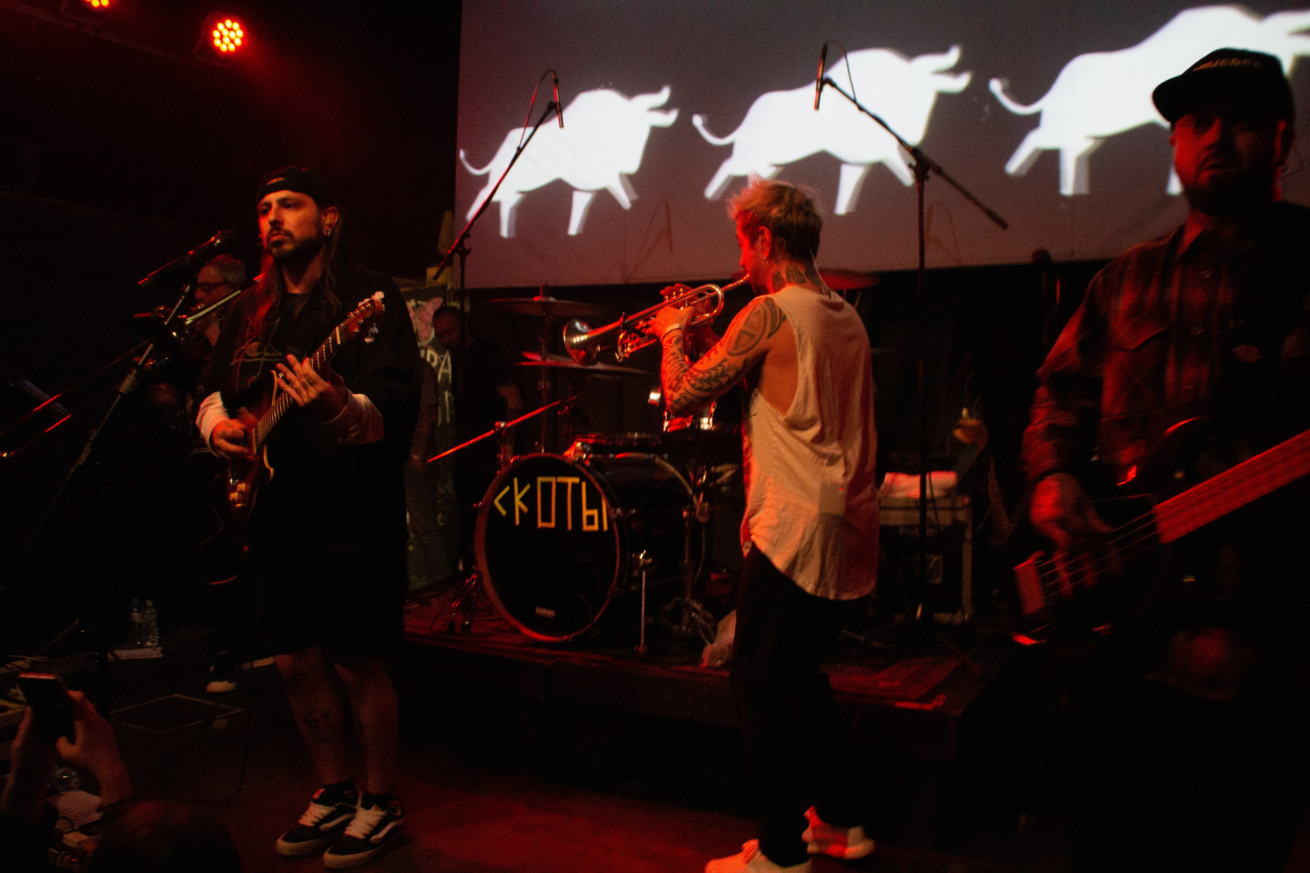 СКОТЫ | 11.12.2024 | ЛАСТОЧКА. VLADIS PISKUNOV | Концертные Фото |Репортажи