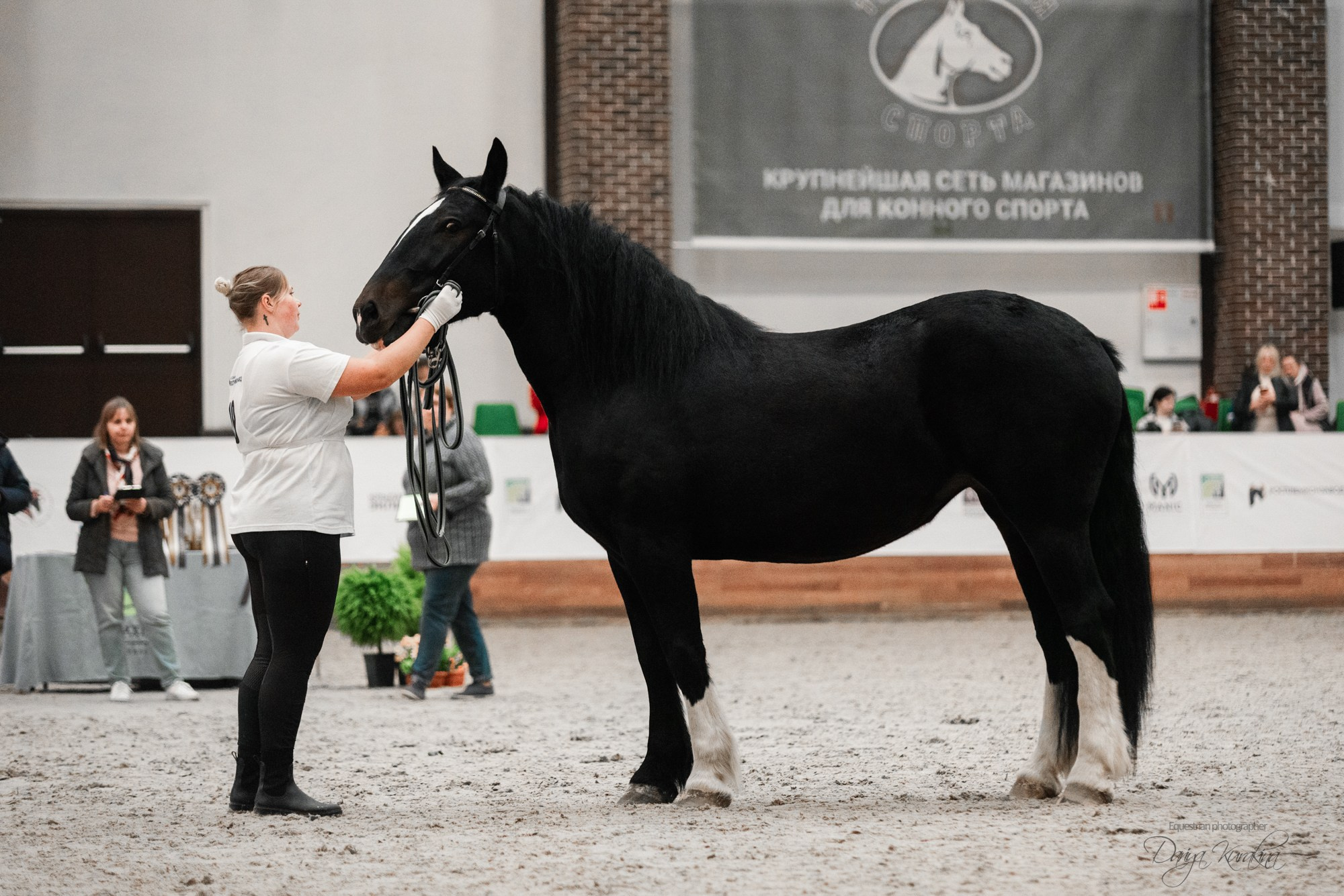 8-я международная выставка Конная Россия. Конный фотограф Куракина Дарья • Фотосессии с лошадьми