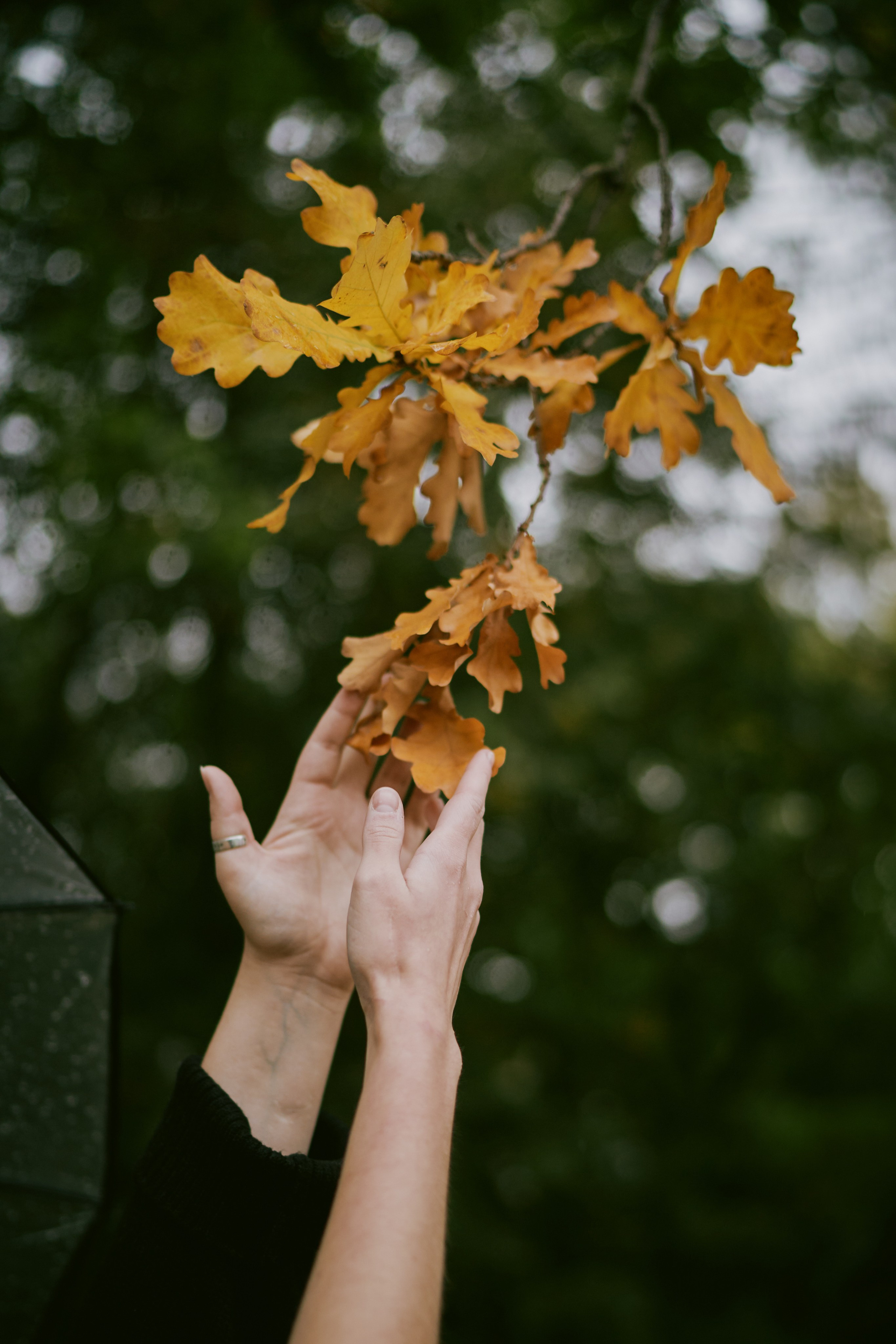 Две сестрички. Фотограф в Санкт-Петербурге | Аня Маленчук
