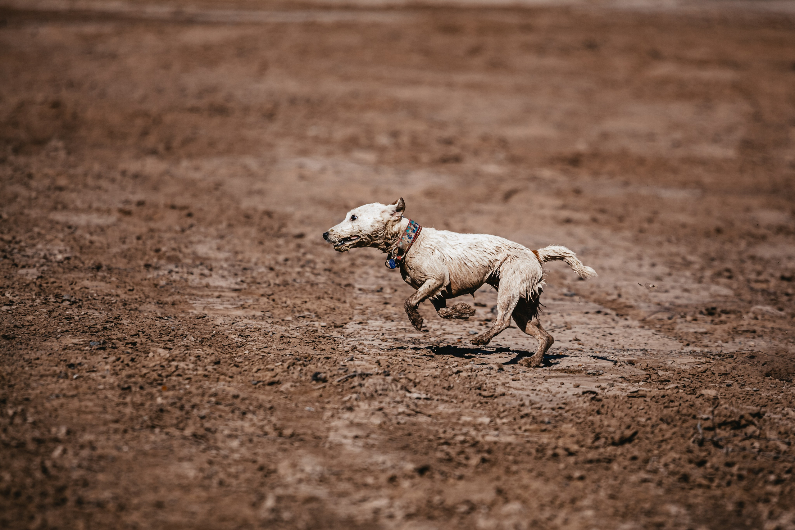 Кондуки. Фотограф-анималист Татьяна Степанова