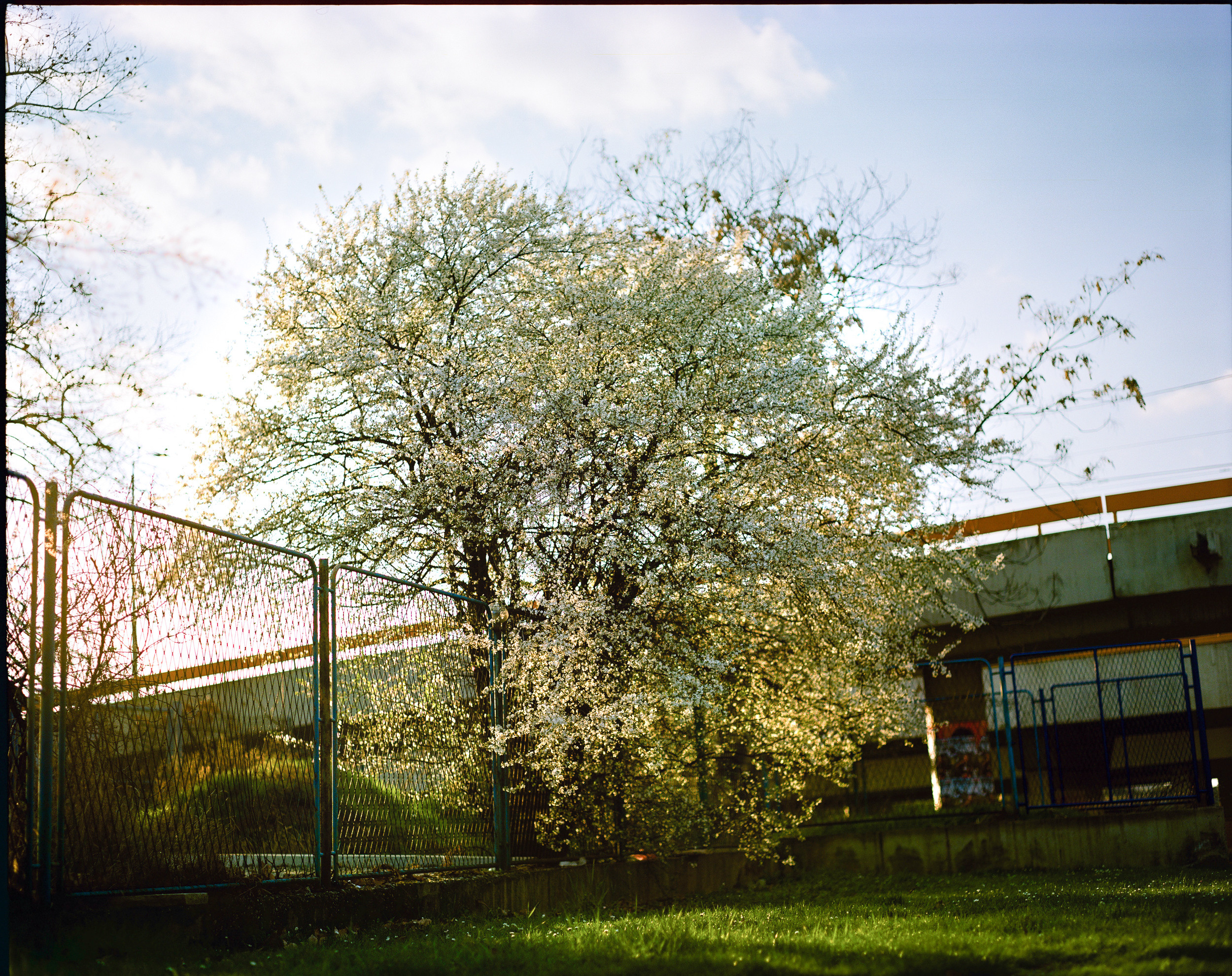 Београд. Oleg Kozachok — Photographer with Protanopia | Portraits, Texture & Light