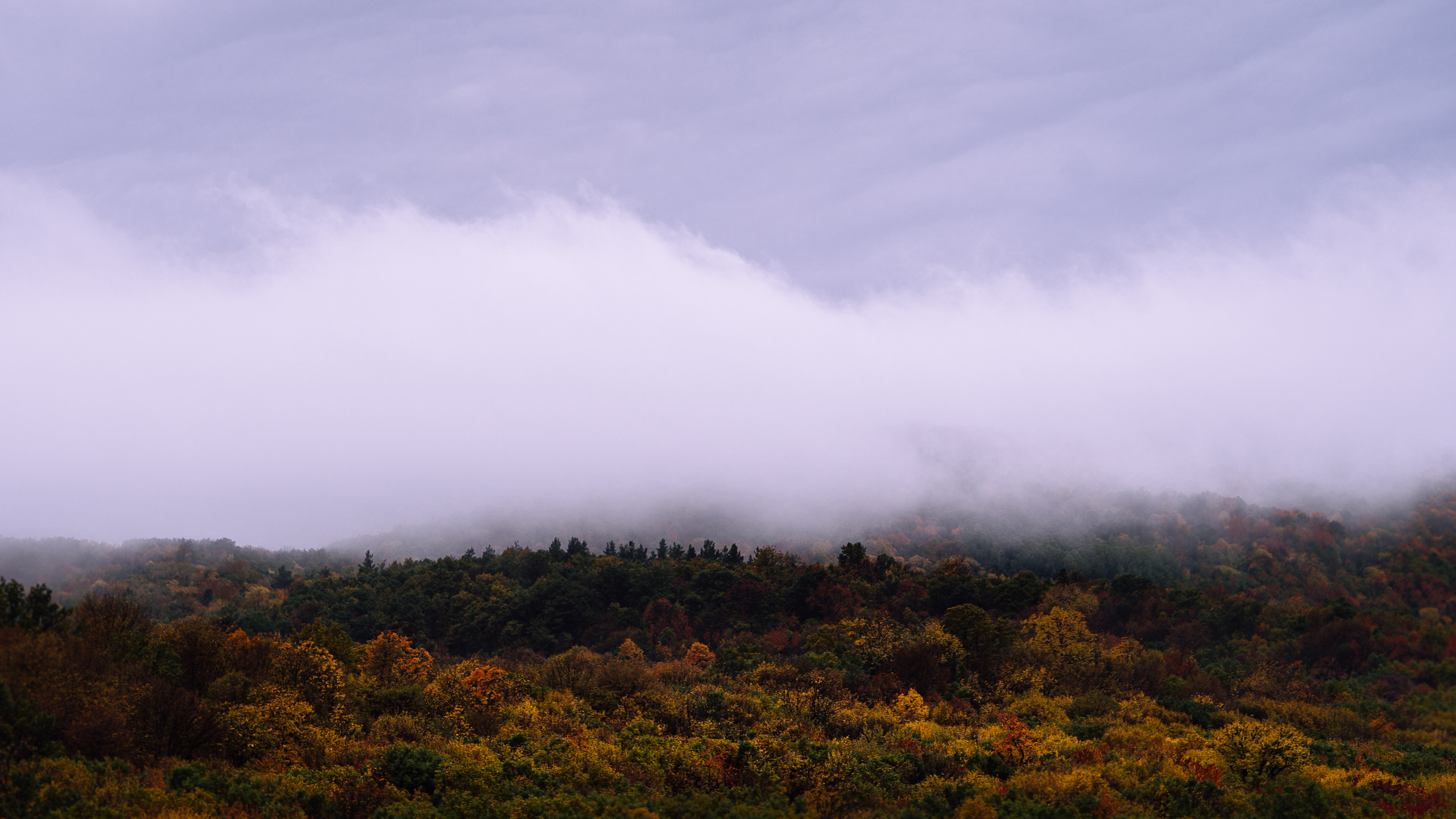 Каталог обоев для ПК\ноутбук. Oleg Kozachok — Photographer with Protanopia | Portraits, Texture & Light