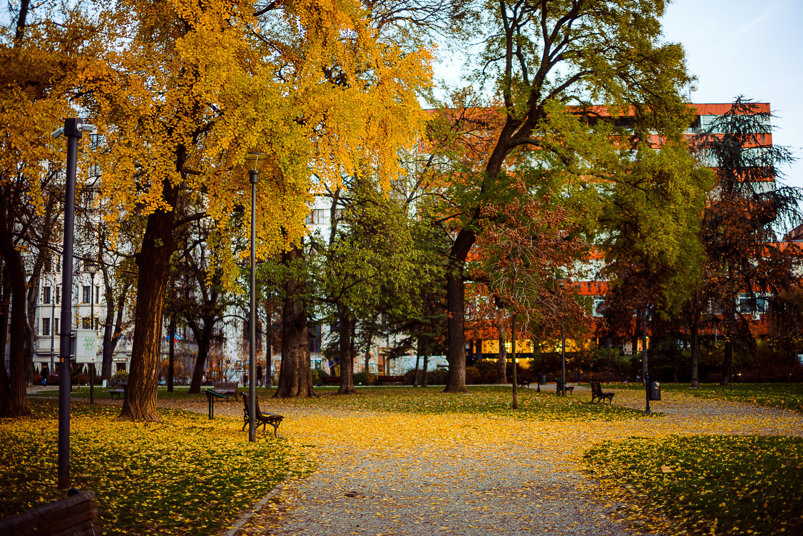 Београд. Oleg Kozachok — Photographer with Protanopia | Portraits, Texture & Light