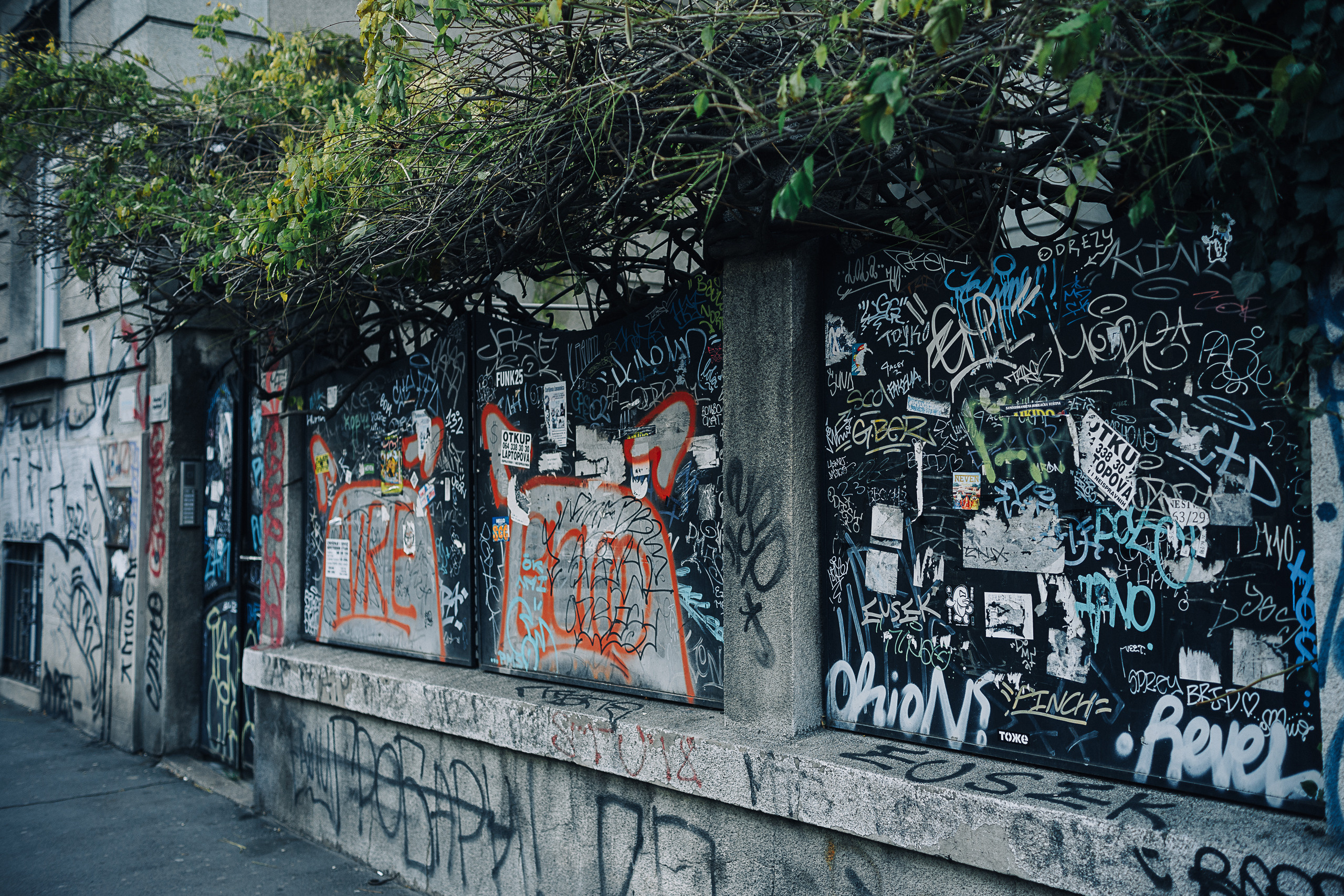 Београд. Oleg Kozachok — Photographer with Protanopia | Portraits, Texture & Light