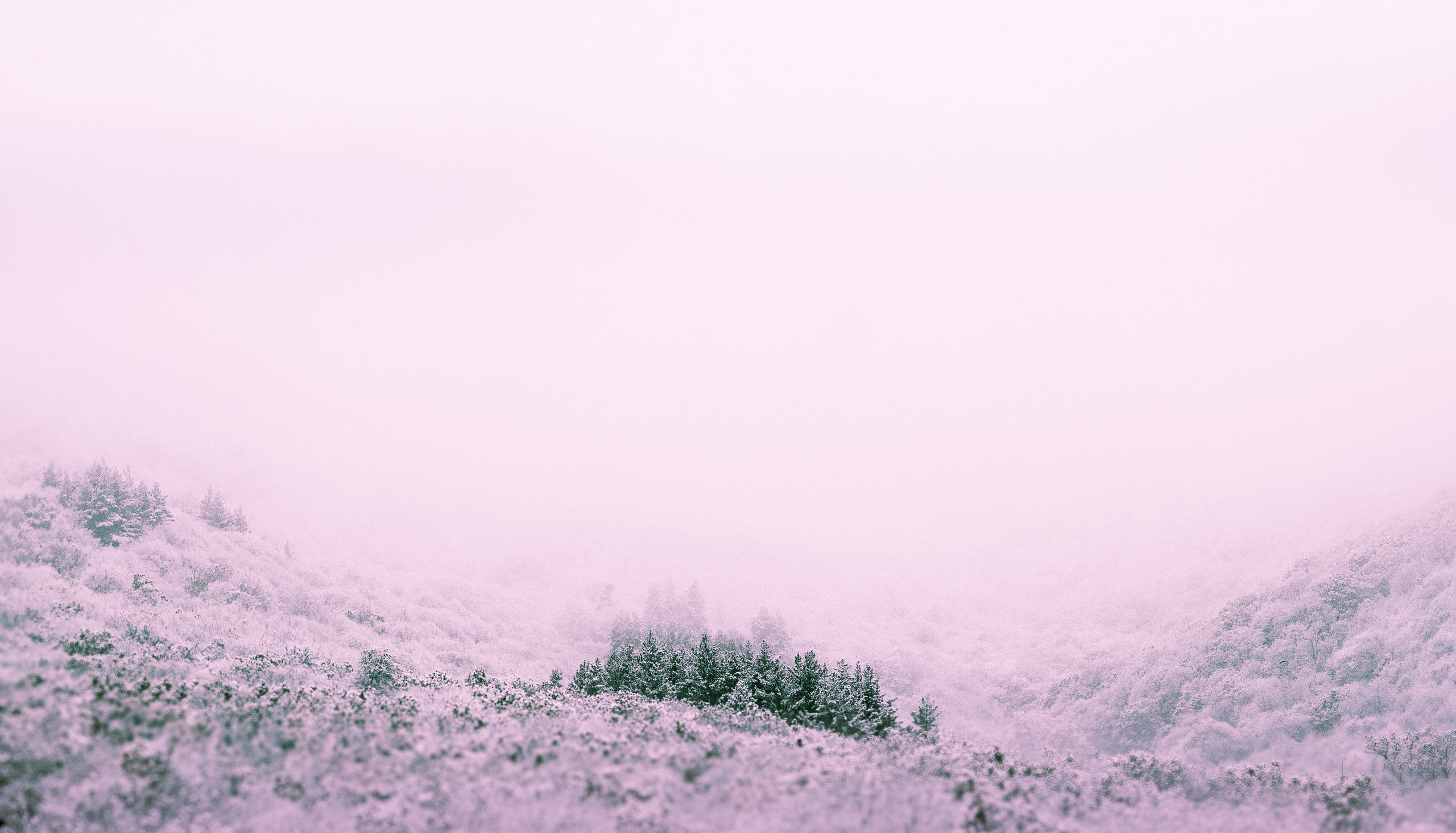 Каталог обоев для ПК\ноутбук. Oleg Kozachok — Photographer with Protanopia | Portraits, Texture & Light