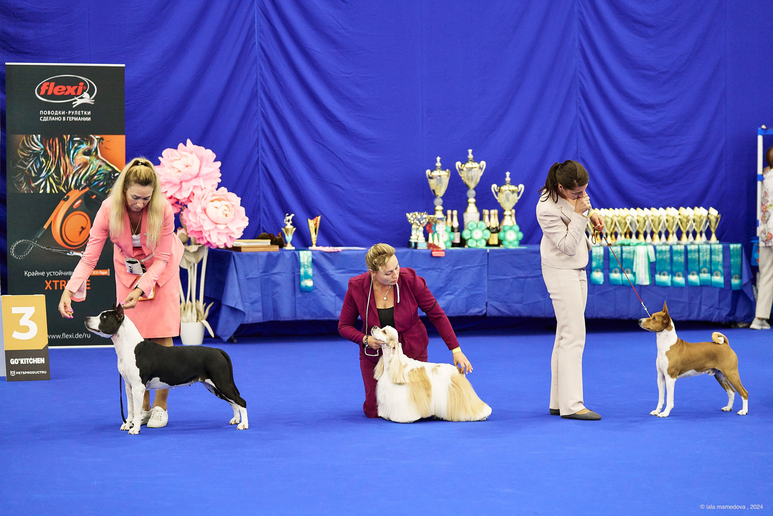 20.07.2024 | «БАЛТИК-ШОУ-1-2024»