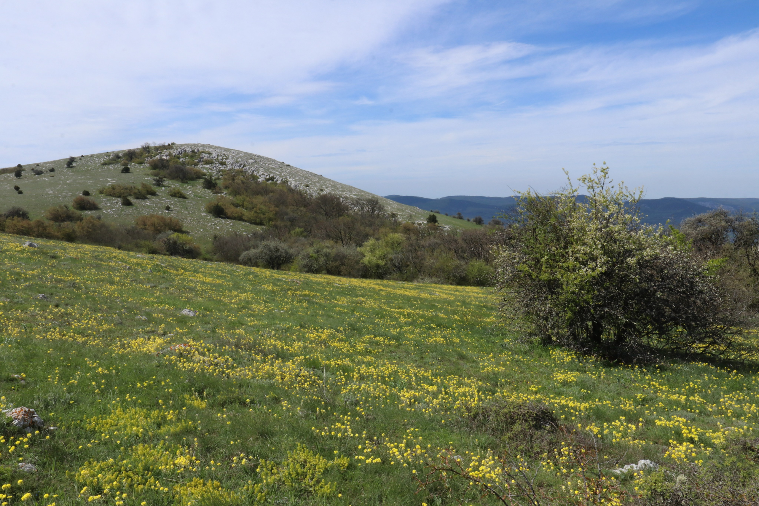 Крым. ЮБК (Севастополь, Кастрополь, Ялта). Май 2023. Путешественник-фотограф из Санкт-Петербурга Татьяна Свистулина