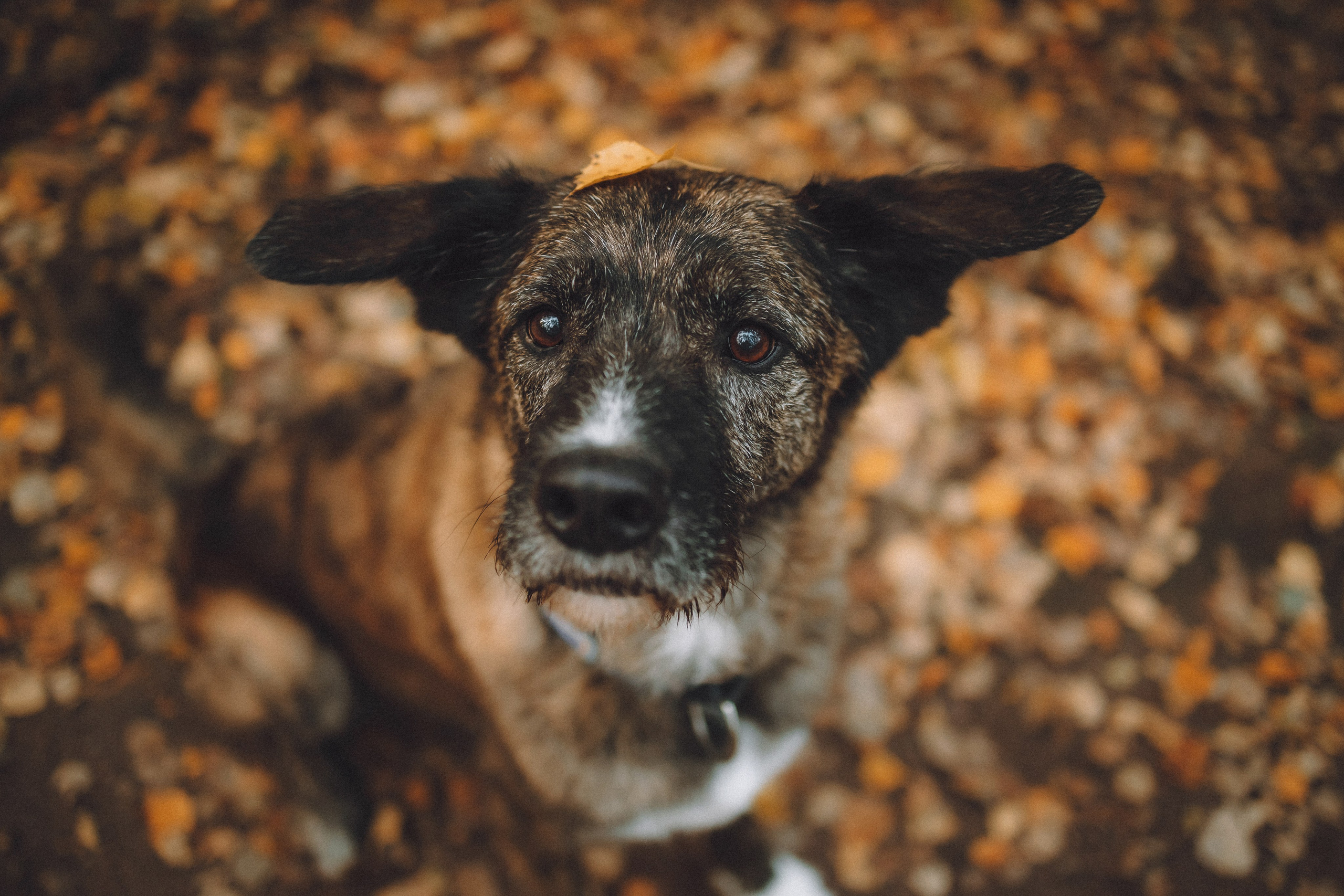 Рик, Джек и их семья