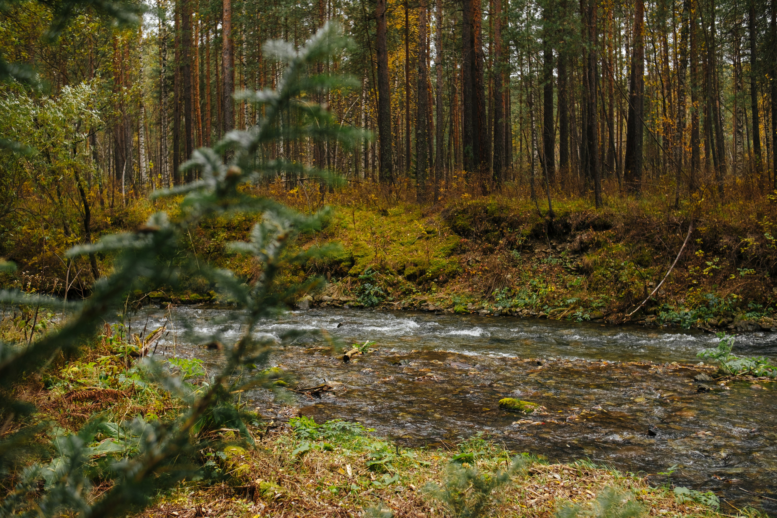 База отдыха «ЖАРКИ». Фуд и предметный фотограф Виталий Морозов г. Москва