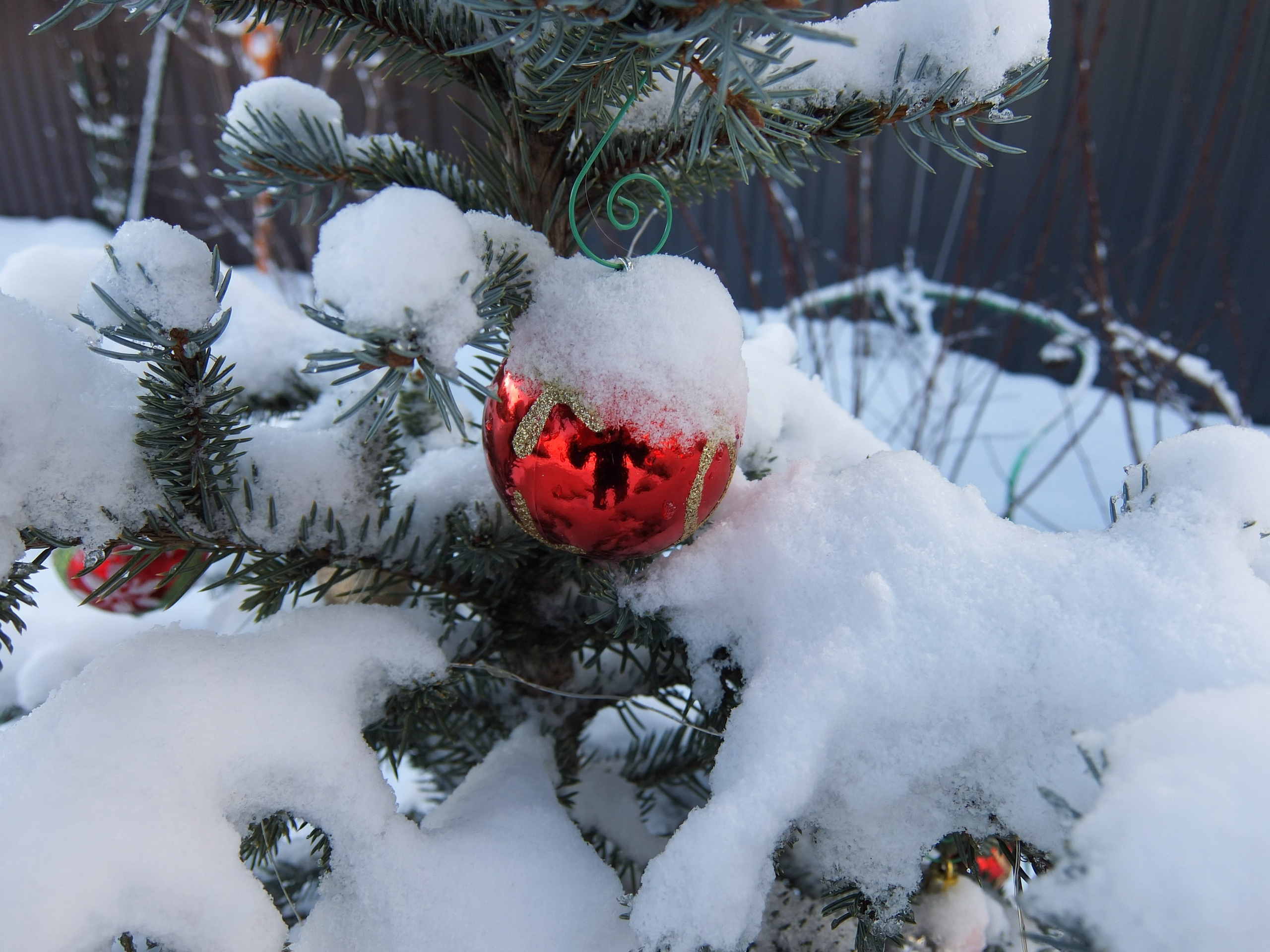 Солнечный день Нового Года. Фотограф-документалист Мария Осокина