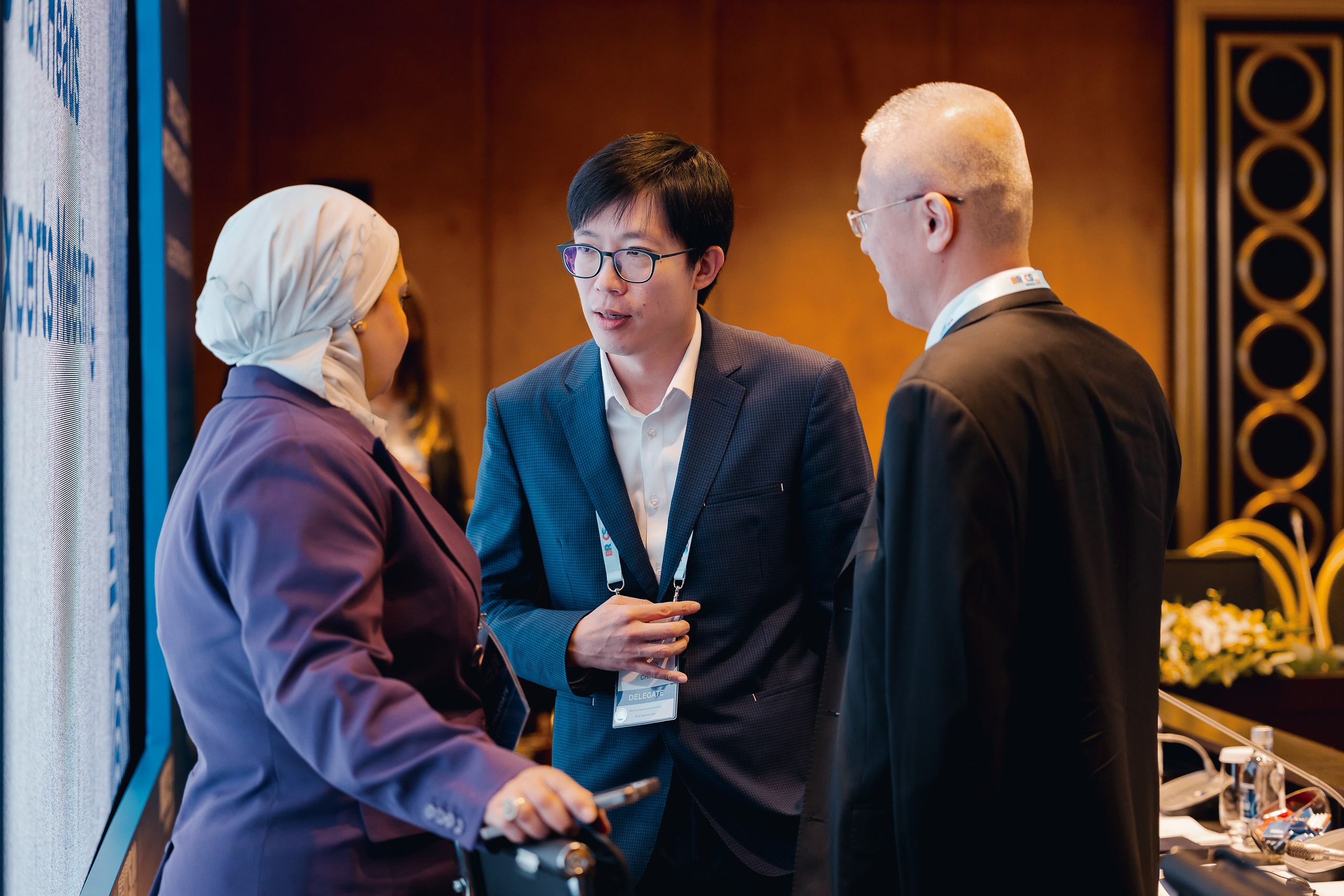 БРИКС ФНС. Parezhevphoto.ru