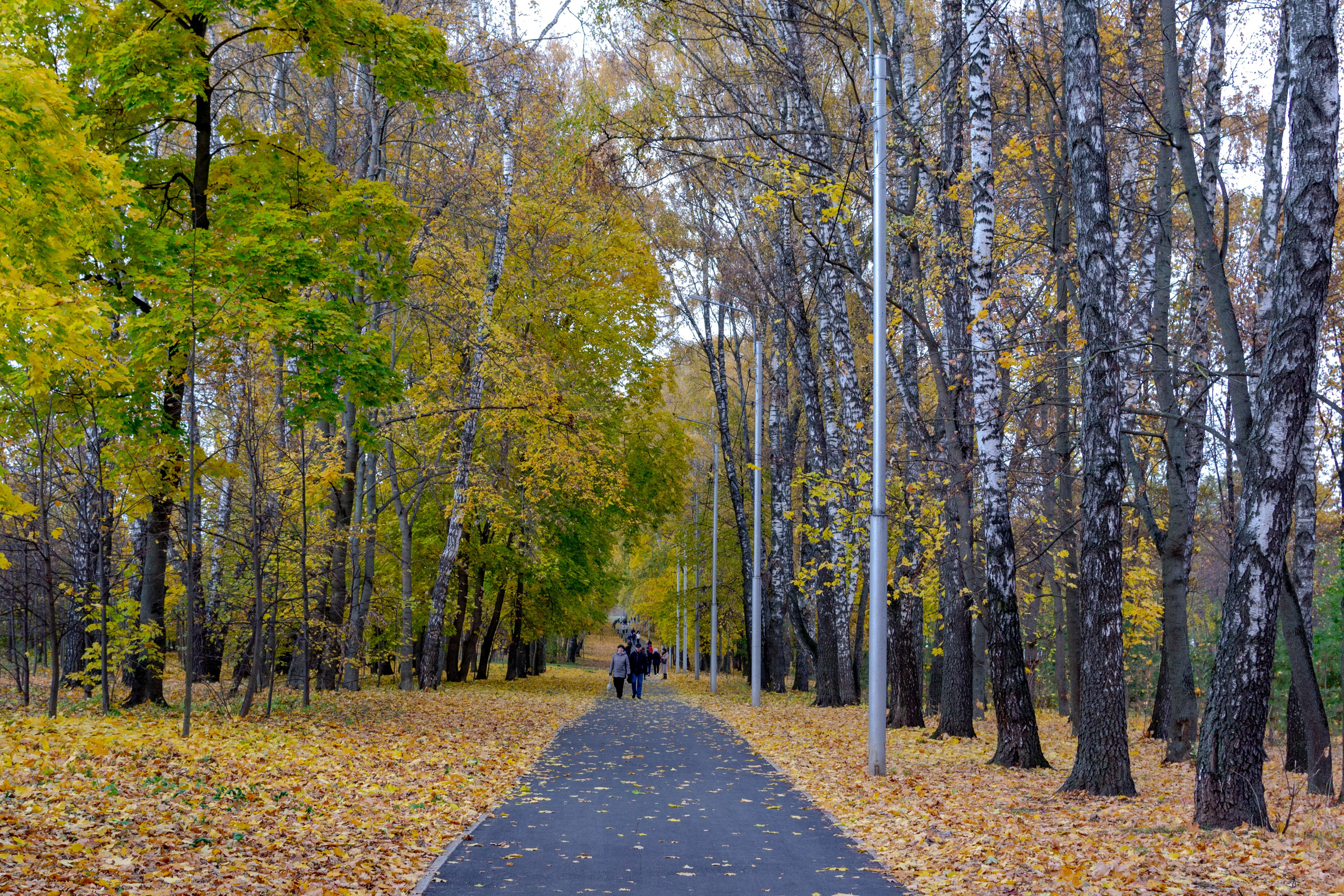 Старенький Nikon 3100 и nikkor 35 mm 1.8 (фото проявленные из RAW-NEF файлов). Фотограф в Туле Крупский АнДРей. Фотостудия «КАДР71» в Туле