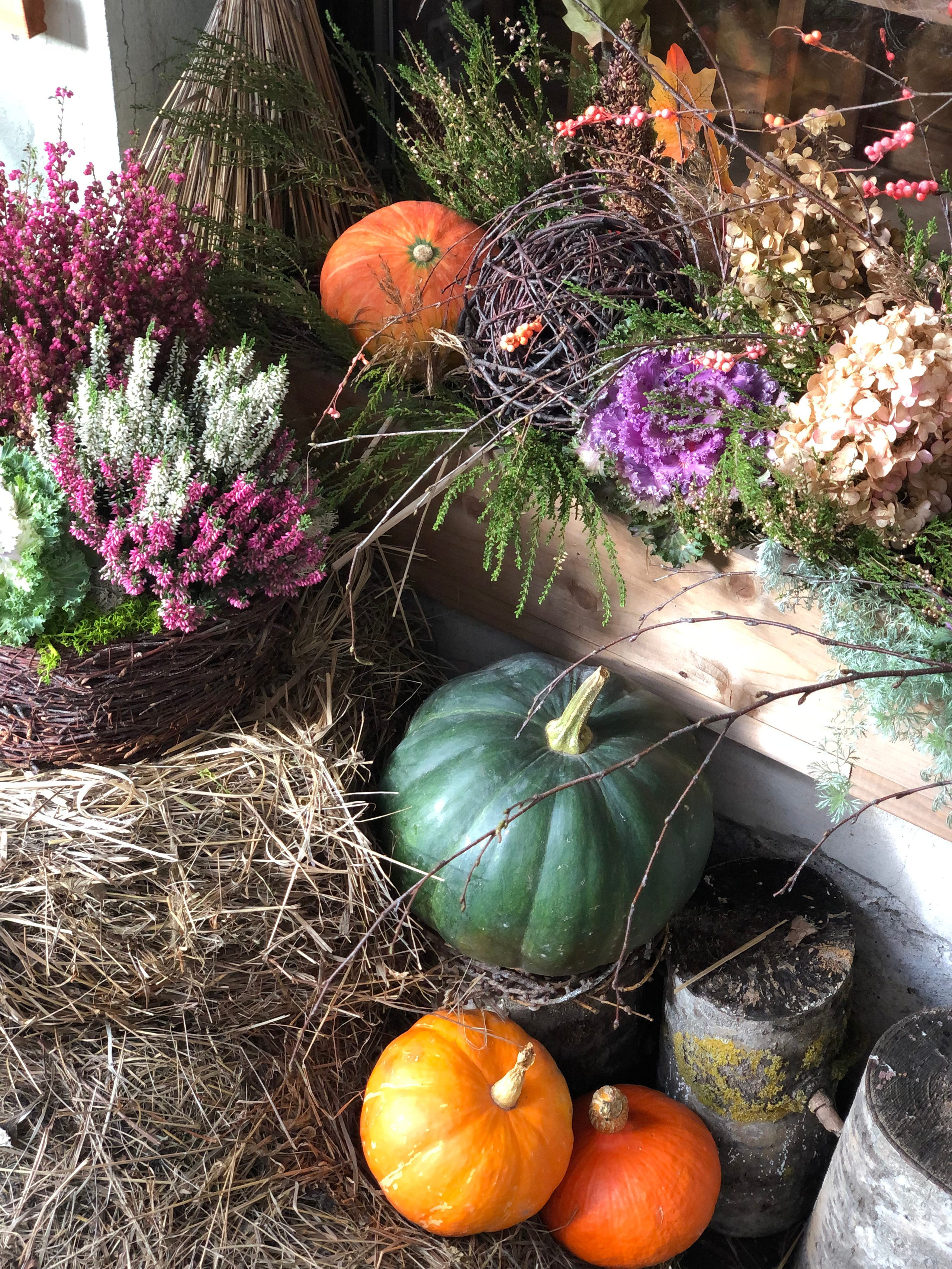 Октябрь. Семейный, Свадебный фотограф СПБ Питер— Романова Екатерина