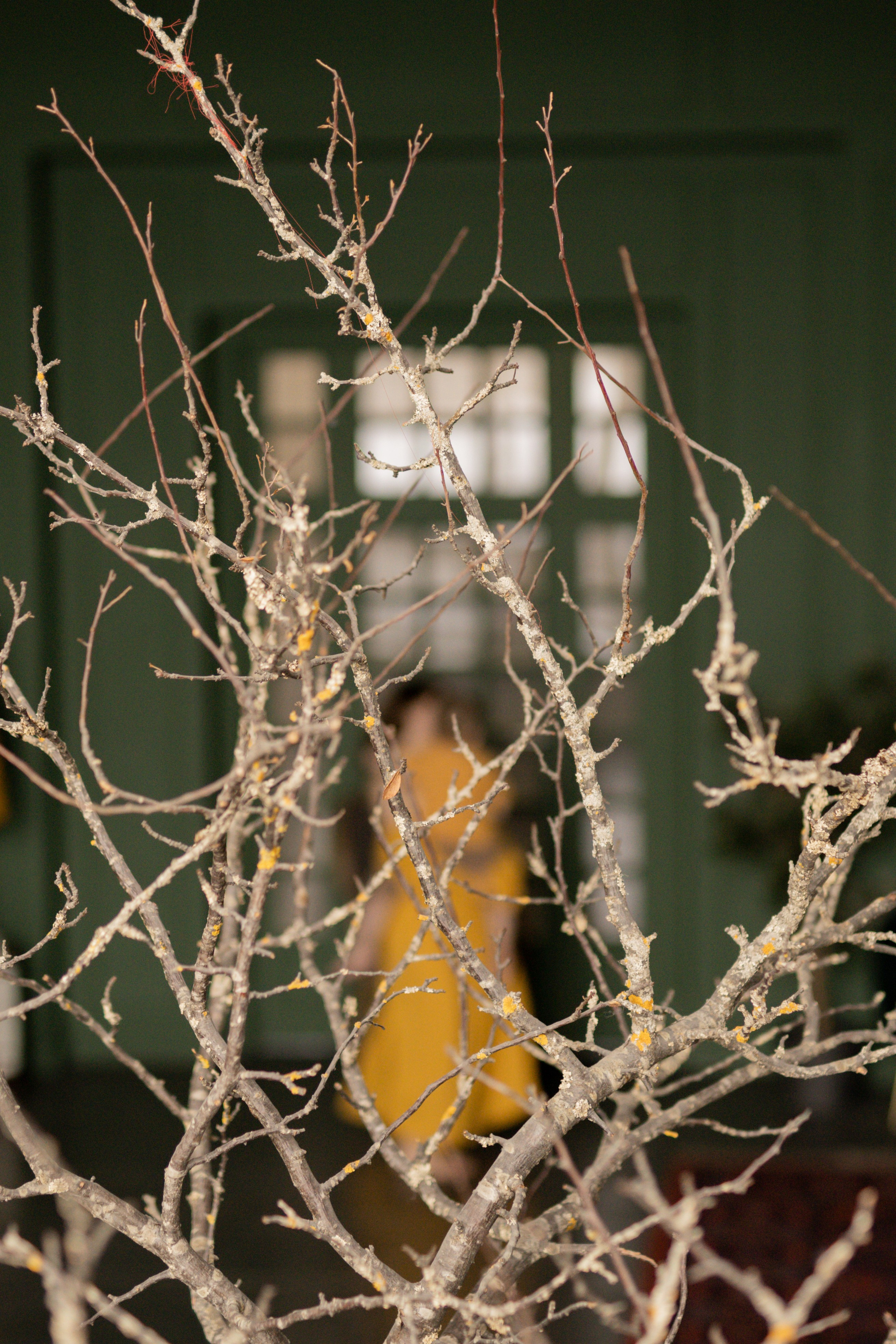 Татьяна и Миша в студии. Фотограф грудного вскармливания в Москве Екатерина