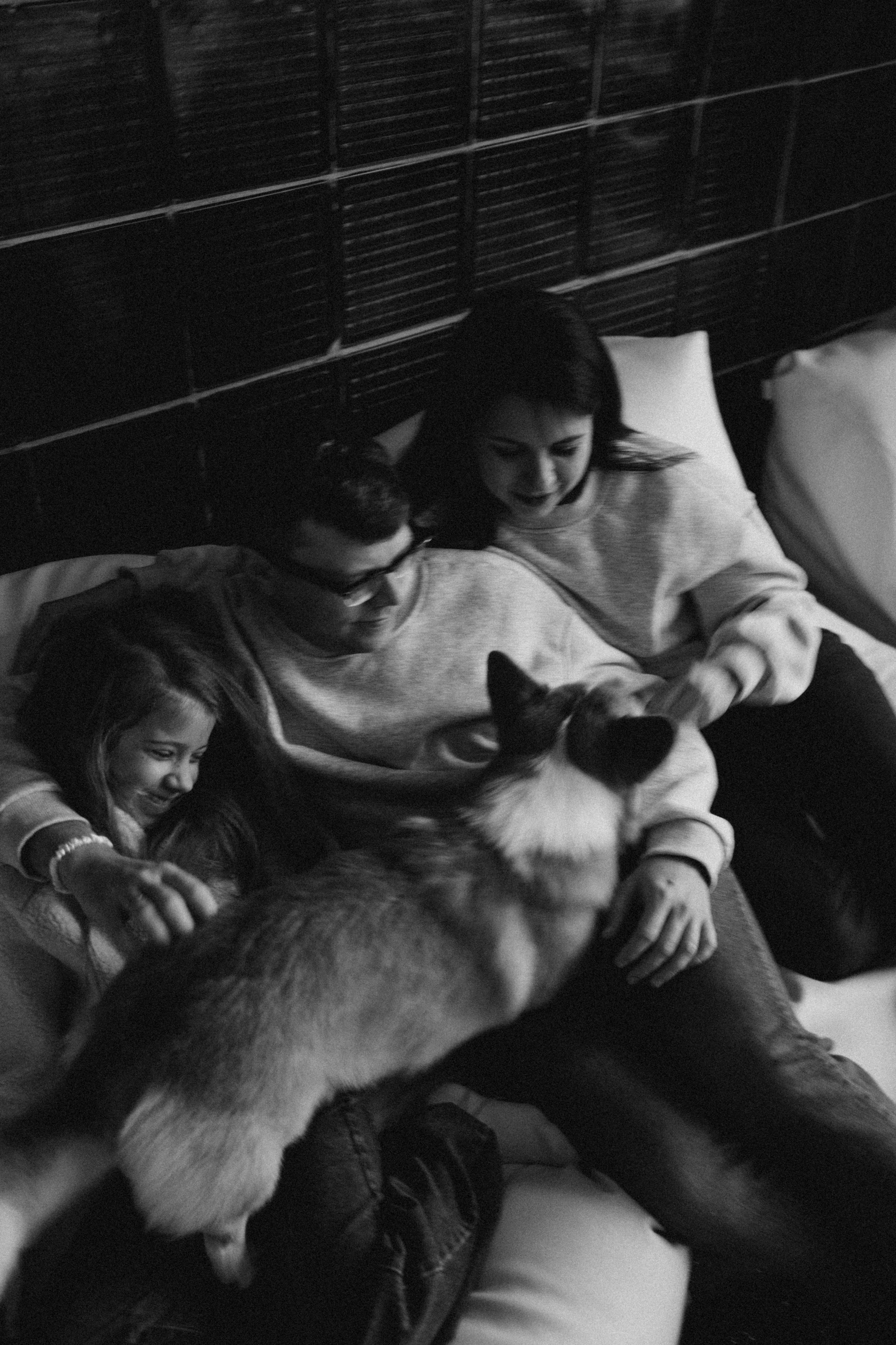 Зевс и его семья. Фотораф — анималист Мария Шистка