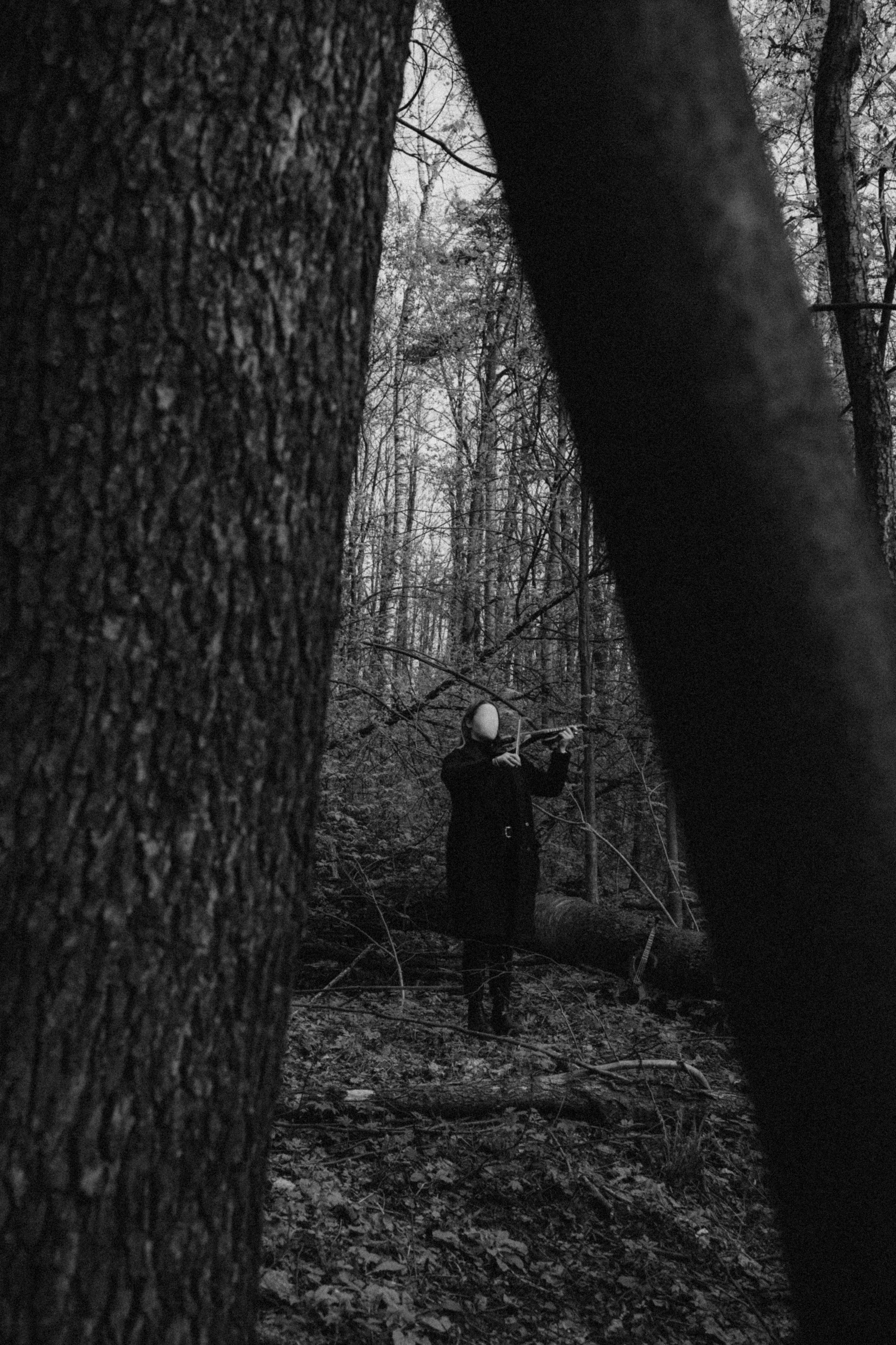 Les. Фото-художник