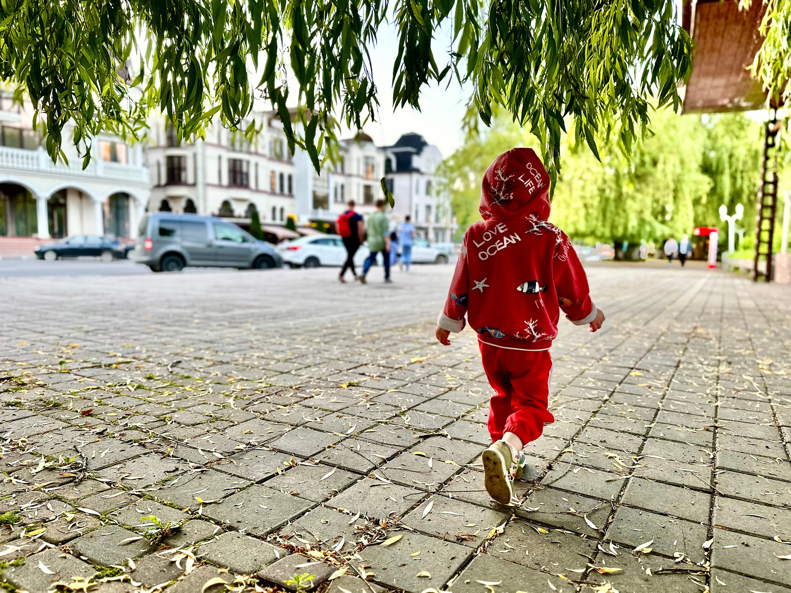 Дети. Смотри, красота!