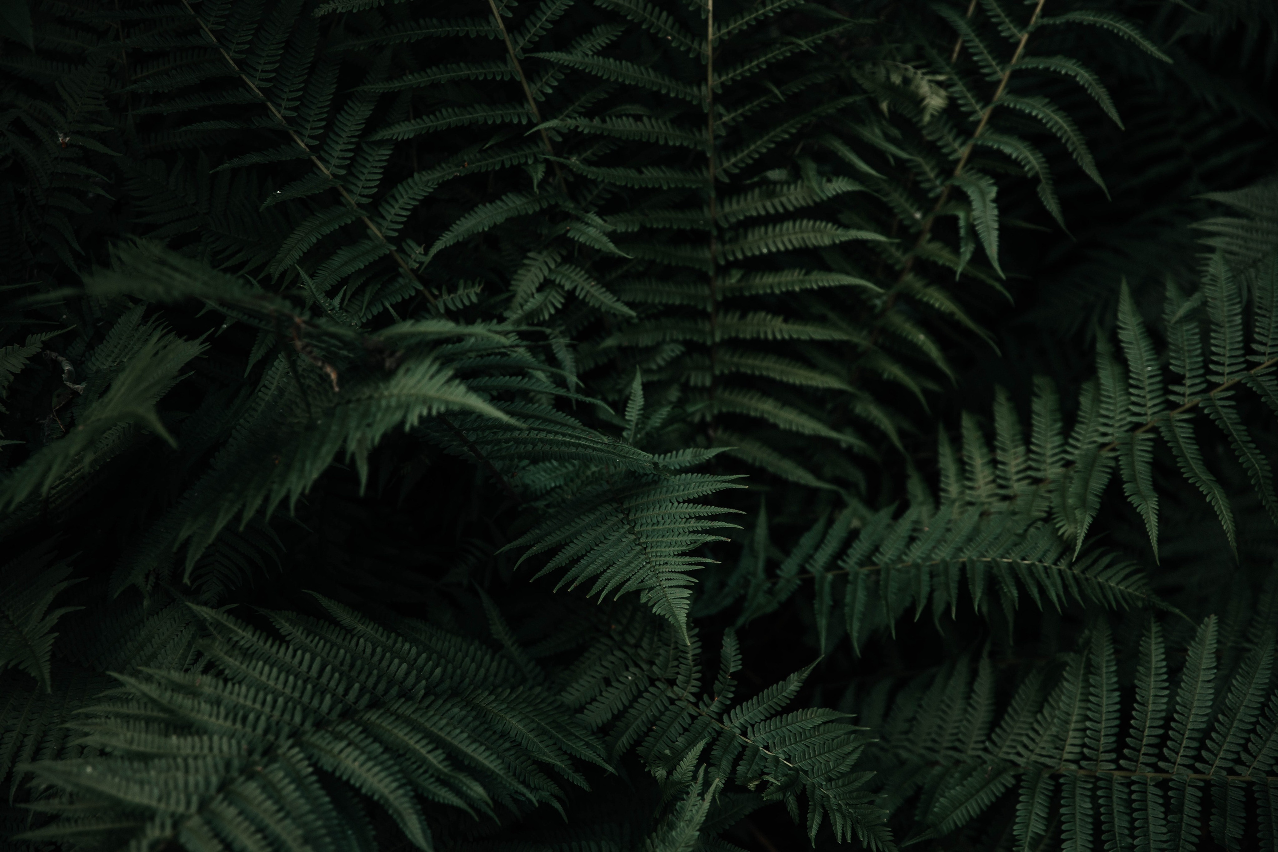 Константин и Ангелина. VOLOCHKOVA